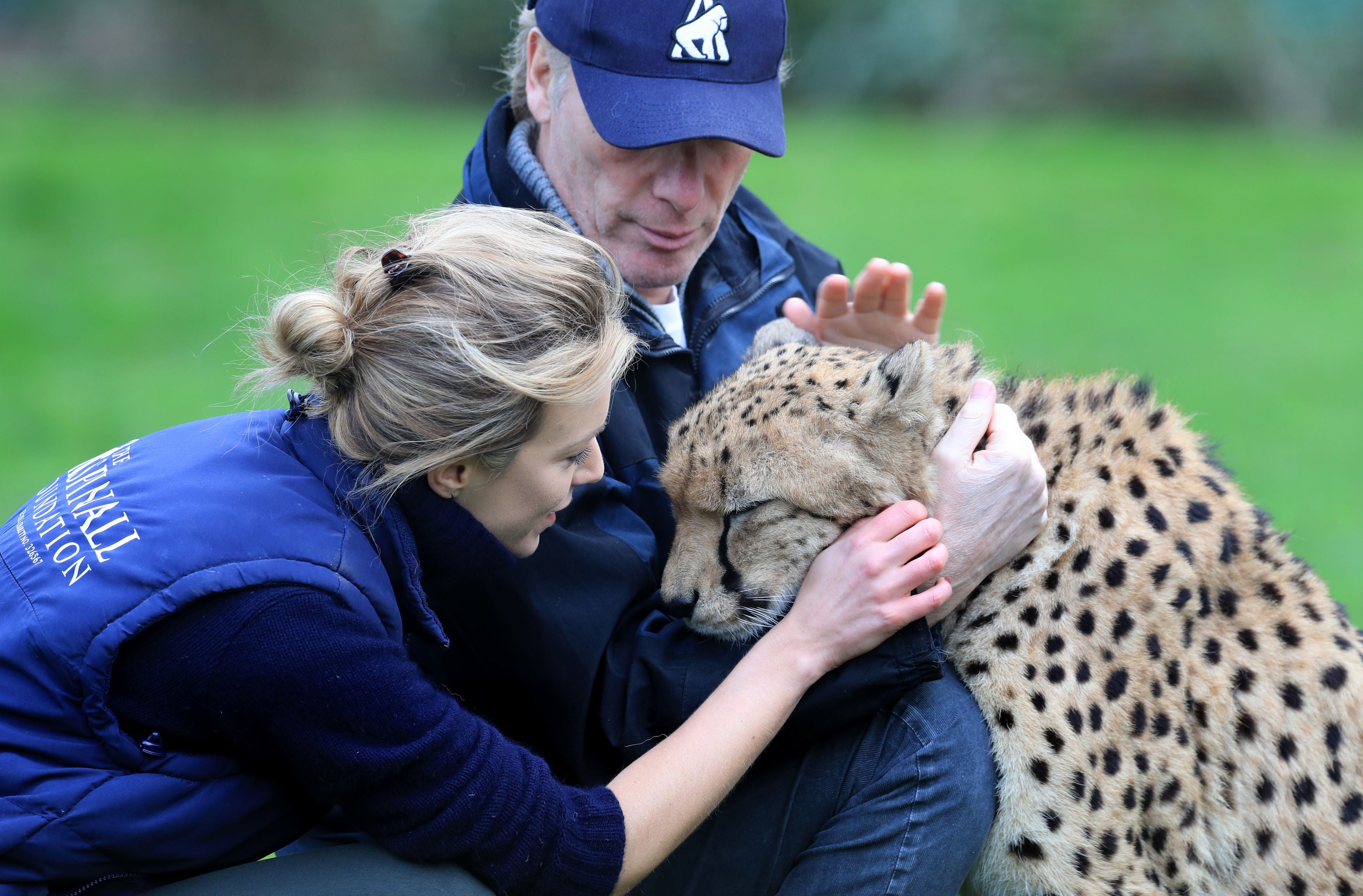 Damian and Victoria Aspinall at Howletts Wild Animal Park in 2020 with a cheetah named Saba