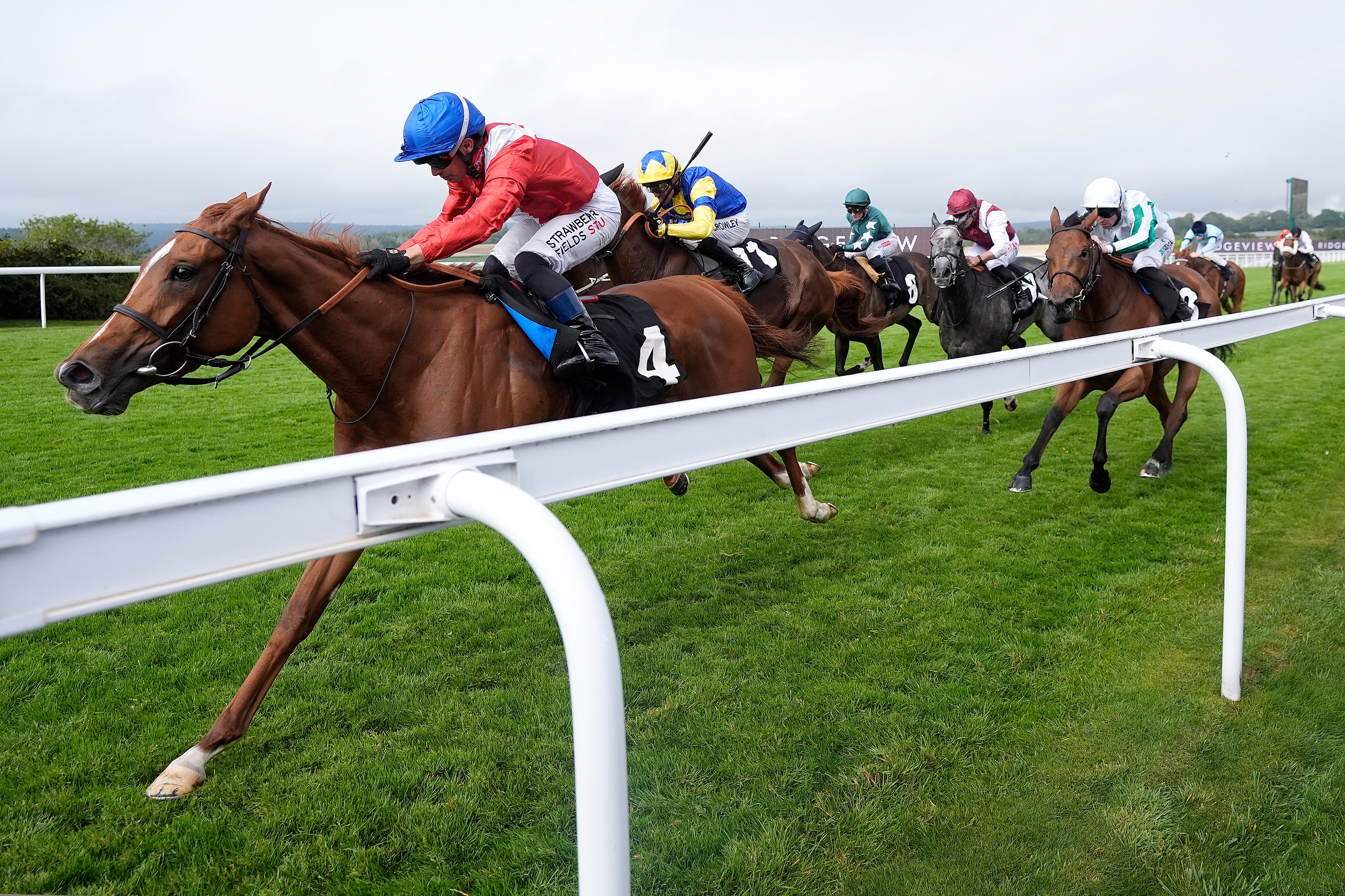 <p>Glorious Goodwood is well underway, below are our tips for day three</p>