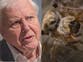 David Attenborough left ‘horrified’ while narrating gruesome spider footage in new series