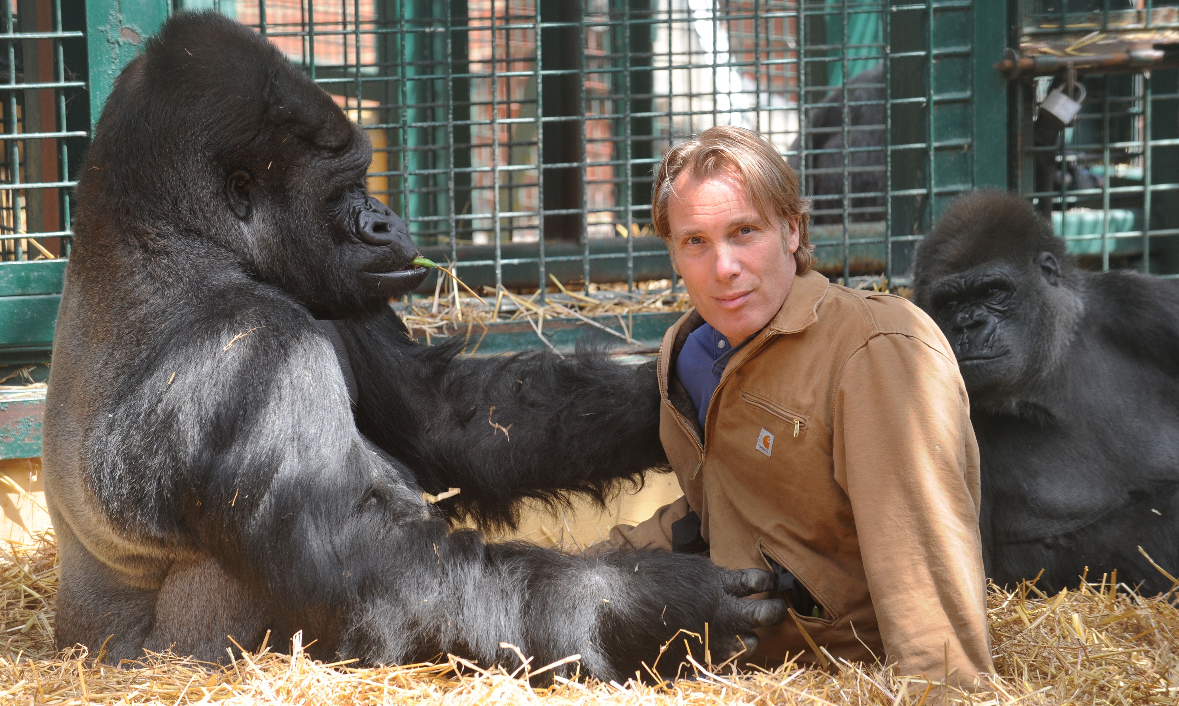 Mr Aspinall, pictured, hailed Mrs Johnson as a ‘huge asset’ when she joined the team