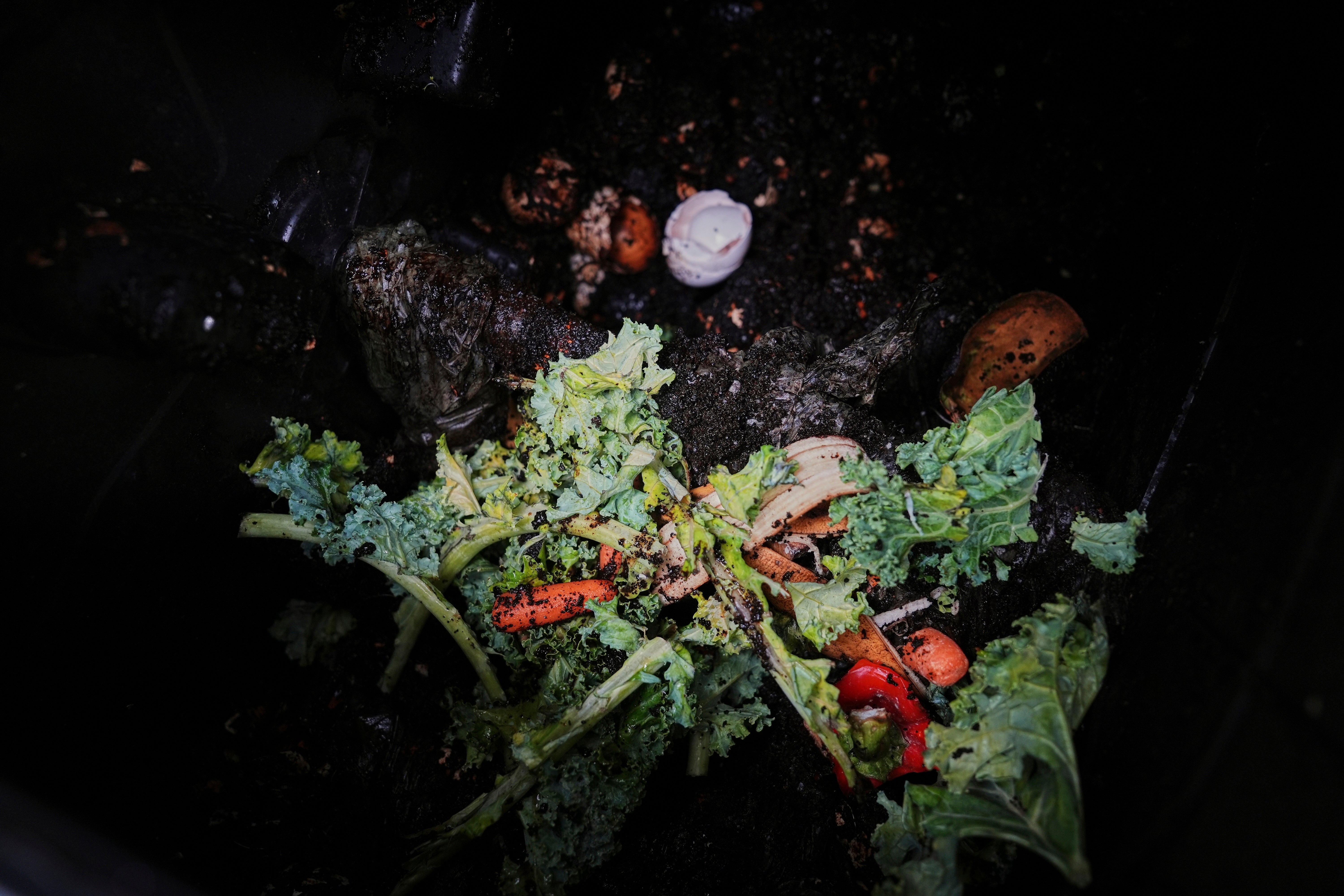 Climate Choices How To Compost