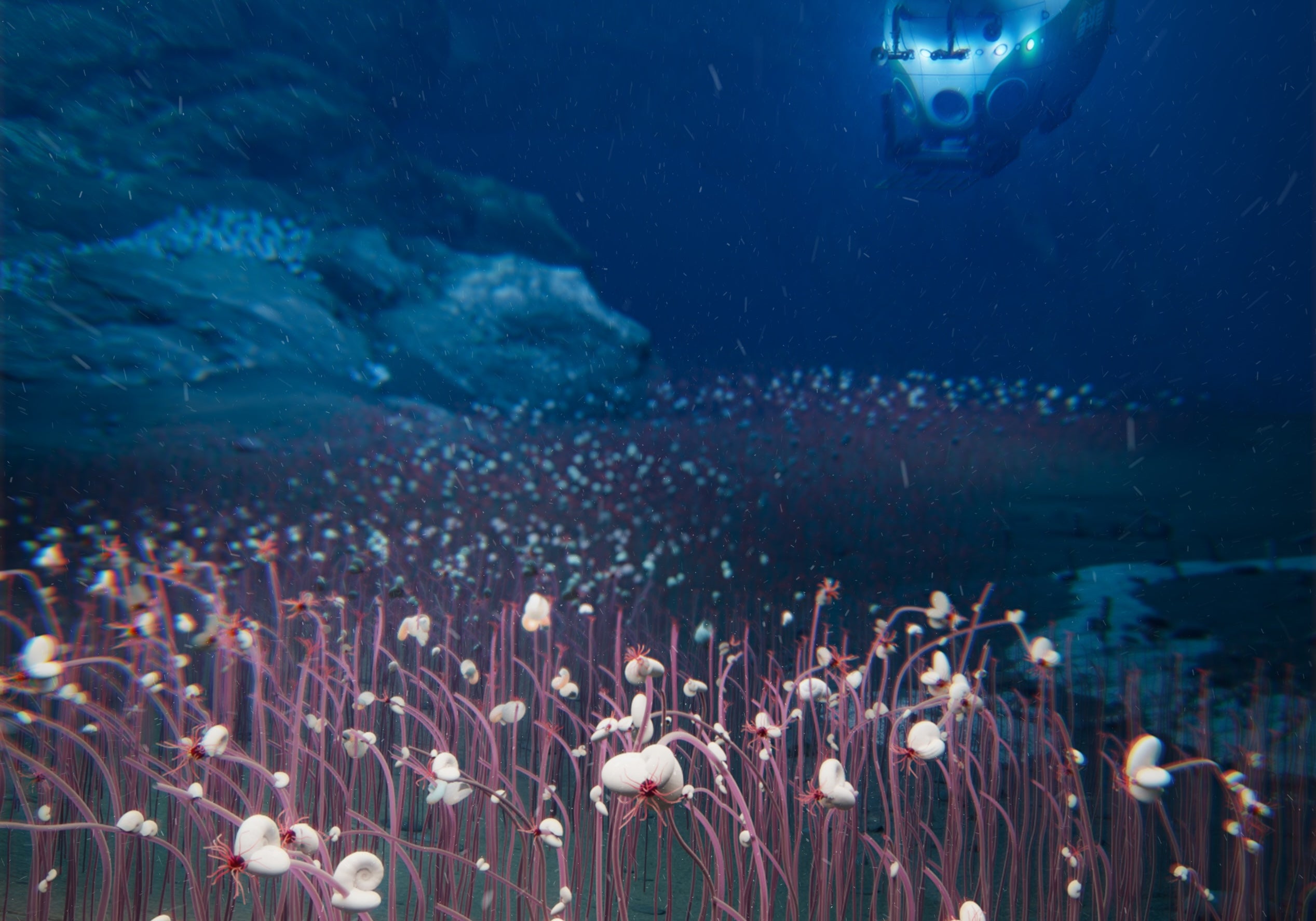 Hadal dive with manned submersible Fendouzhe. This figure is created to depict these remarkable ecosystems, forming a "river" of chemosynthetic communities at the bottom of hadal trench - painting the ocean floor with a living kaleidoscope of deep-sea vitality