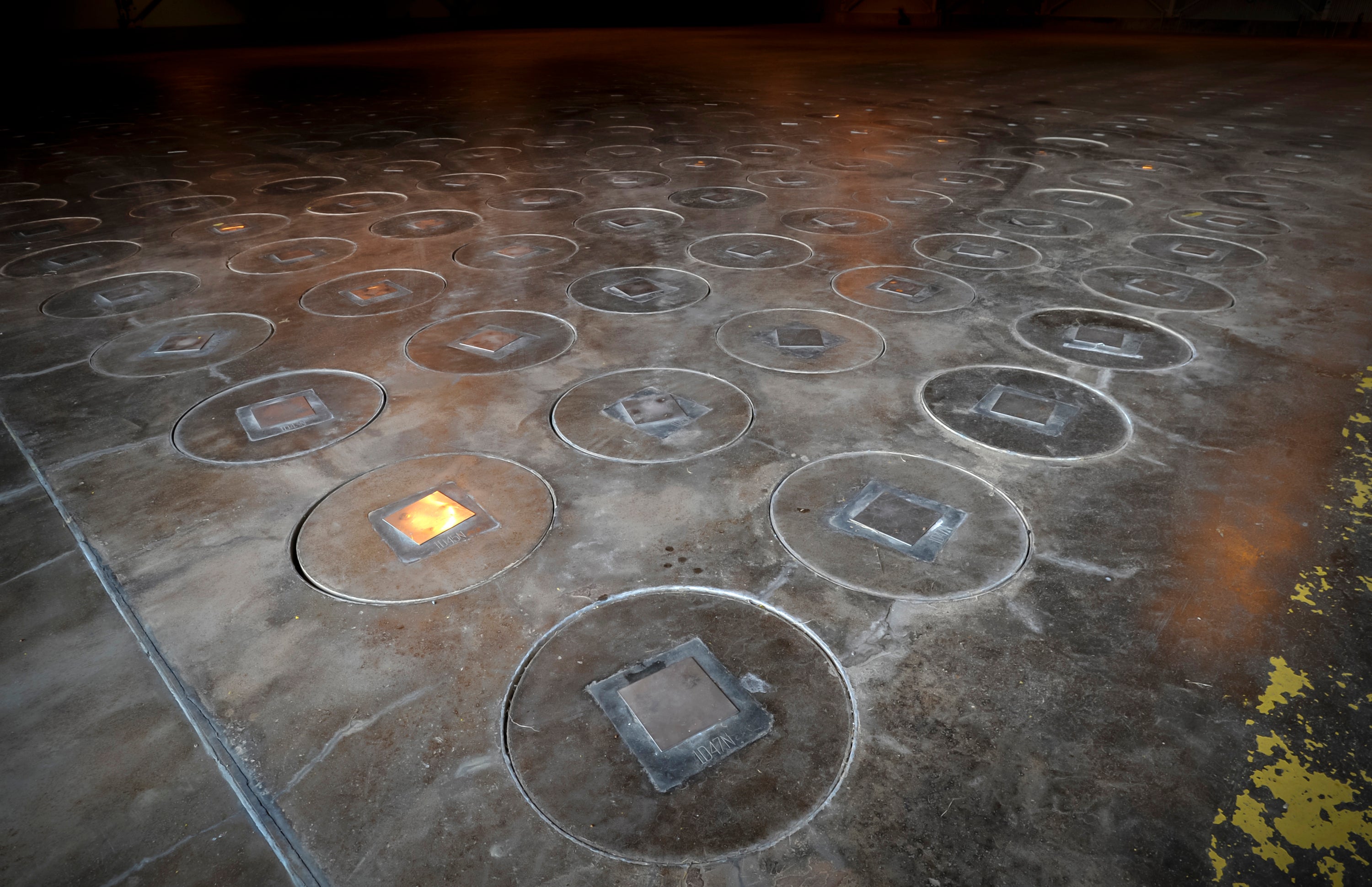 Radioactive wasp nest found at site where US once made nuclear bombs