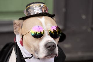 Ozzy Osbourne funeral latest: Updates on Birmingham procession route, livestream and private service   www.independent.co.uk