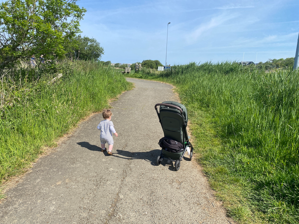 Best lightweight stroller Indybest review Joolz aer2