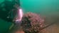 Treasures of British warship sunk in 1703 storm finally revealed three centuries on