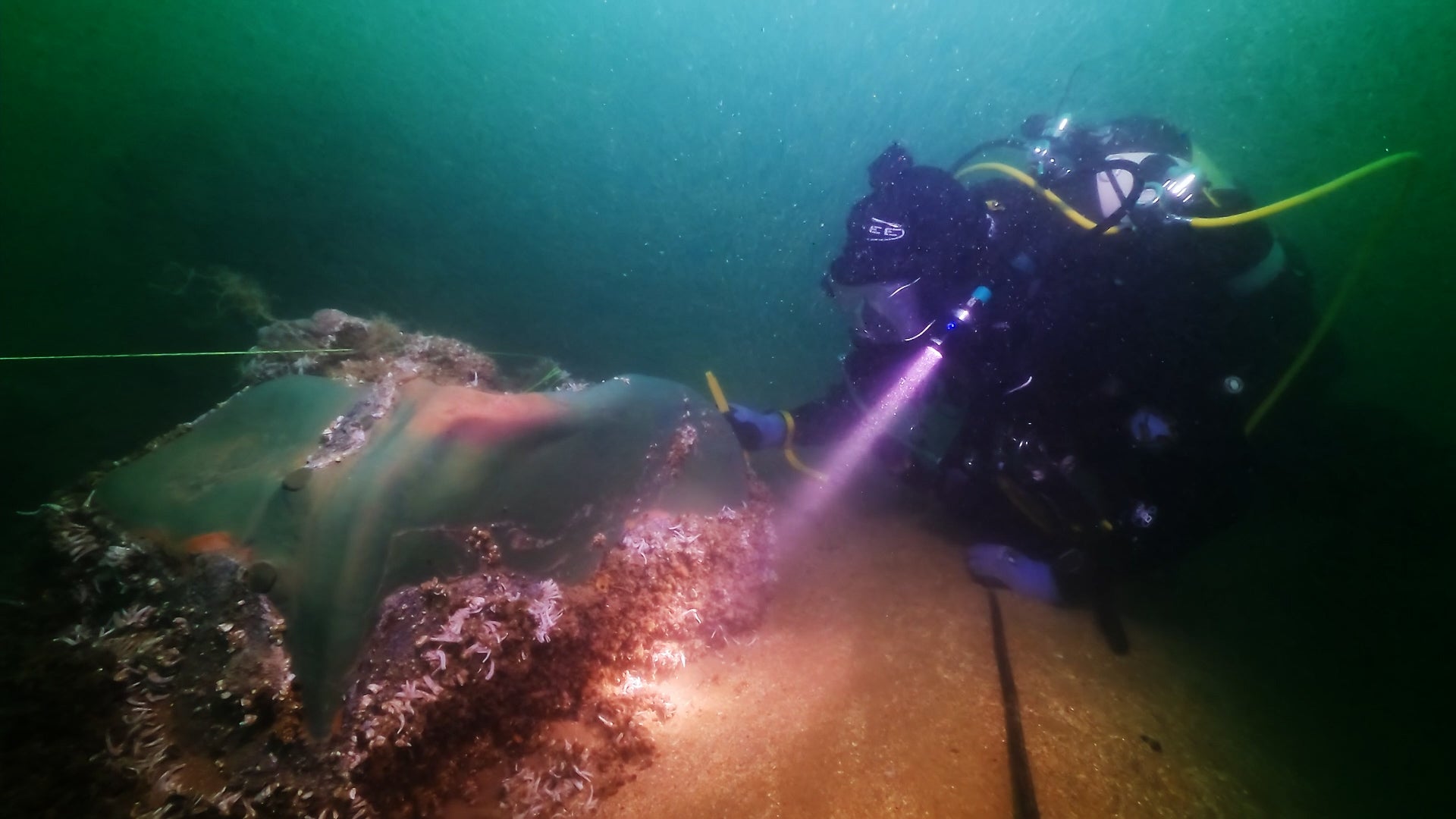 Divers examined the ship in July 2024