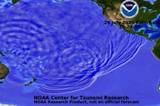 Animation reveals how tsunami, triggered by 8.8-magnitude earthquake, surged across Pacific Ocean