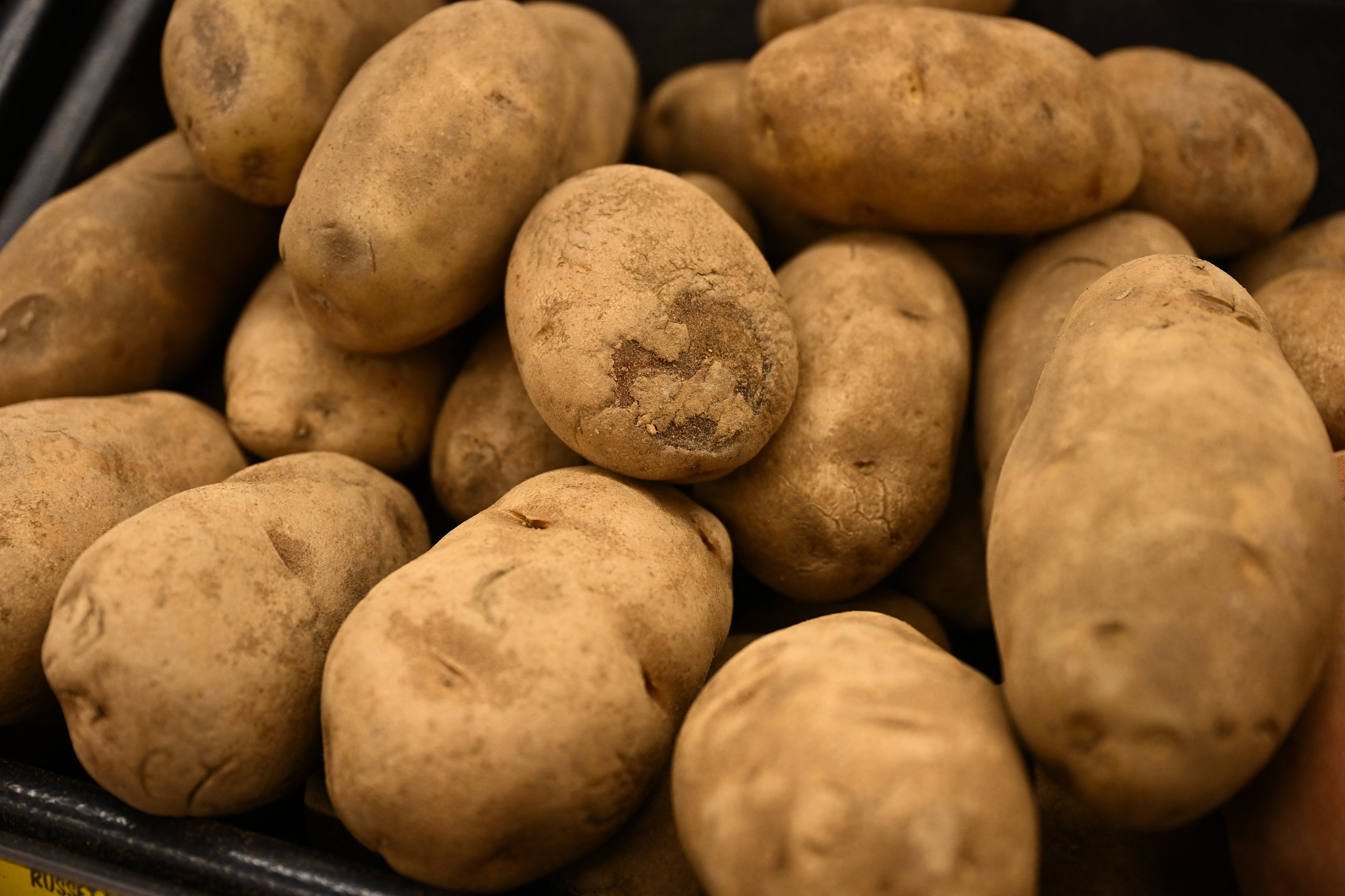 Americans love potatoes. But, until today, we didn’t understand their origin