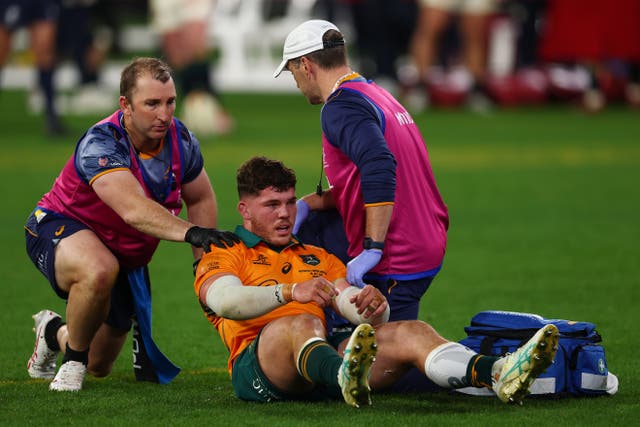 <p>Australia's Carlo Tizzano will not feature in the third Test against the Lions</p>