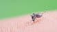 US considering China travel warning after nearly 5,000 cases of deadly virus: report