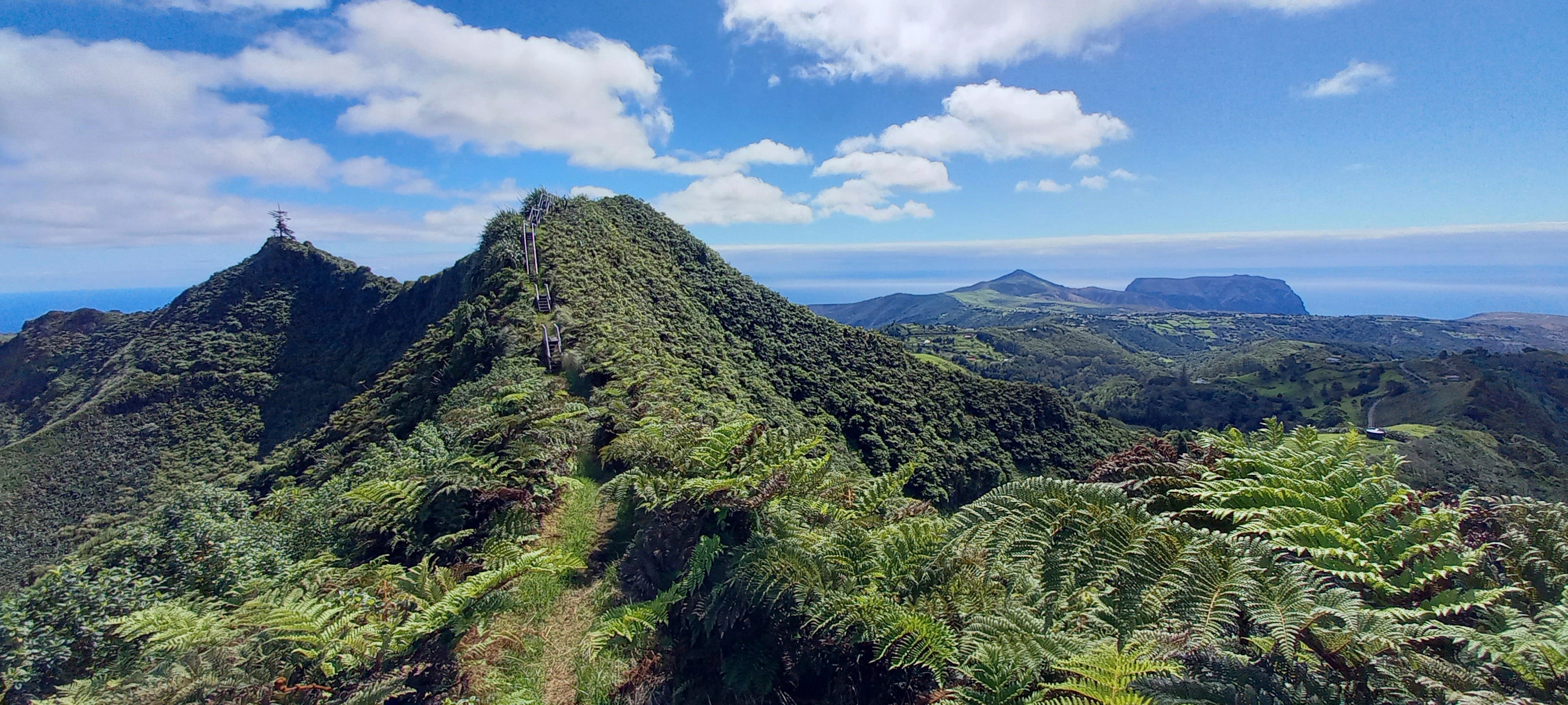 St Helena Island in the South Atlantic, where the RSPB also relies on UK aid to support conservation