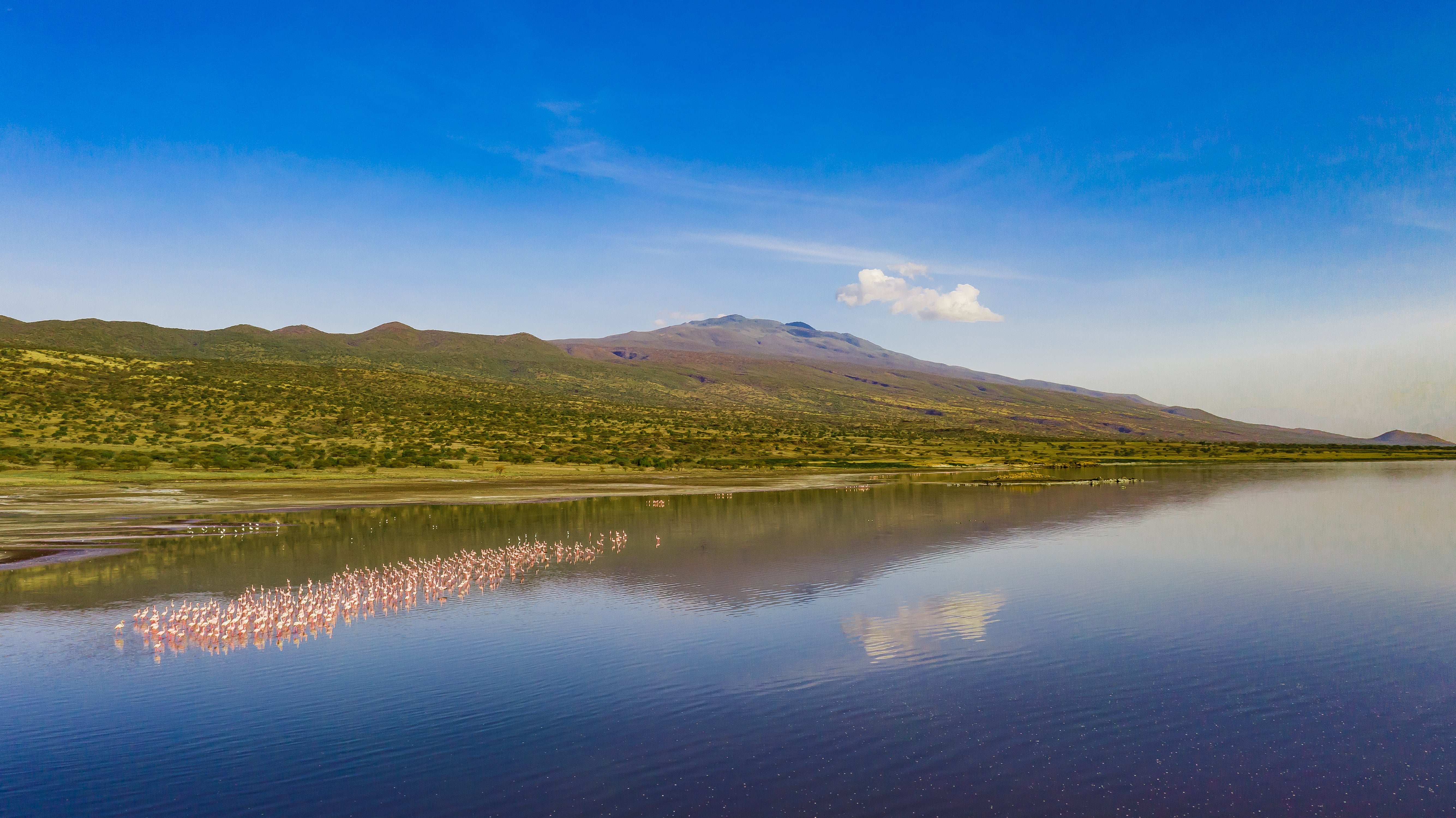 Flamingos on Lake Natron, where APW has run a conservation programme funded by UK aid