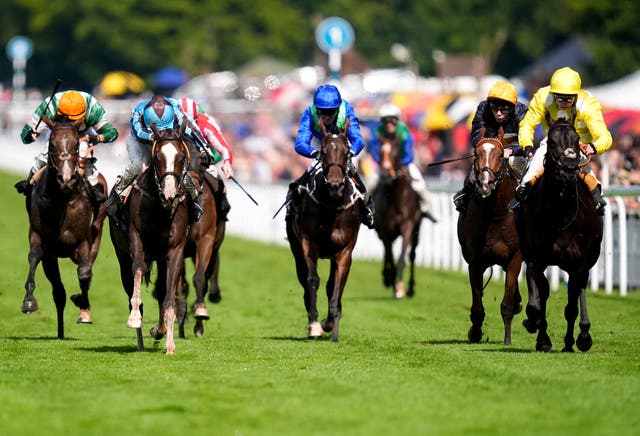 <p>Glorious Goodwood concludes on Saturday afternoon</p>