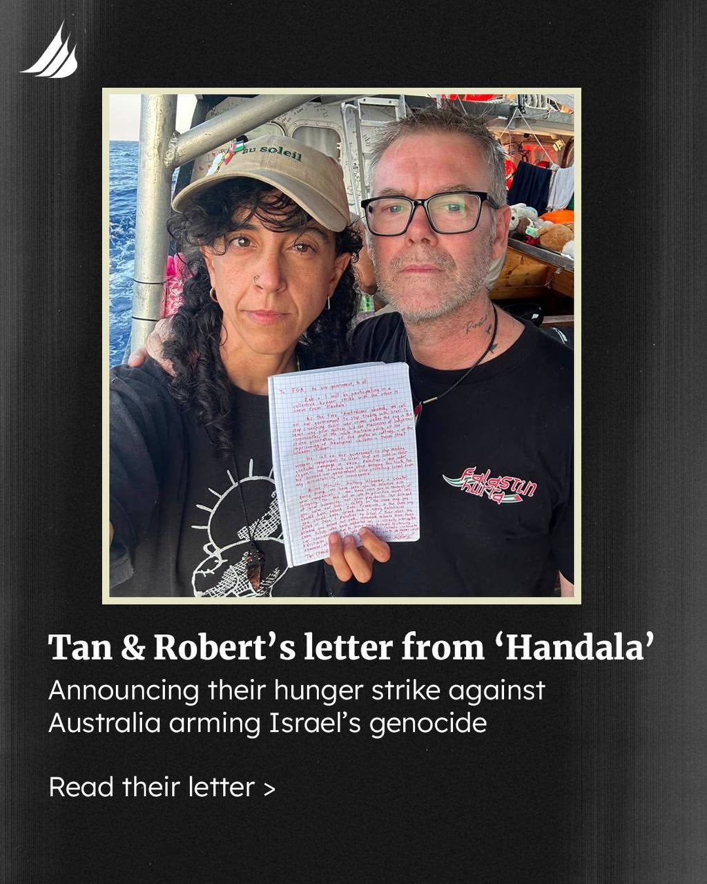 Journalist Tania Safi and activist Robert Martin allege they were manhandled by Israeli troops