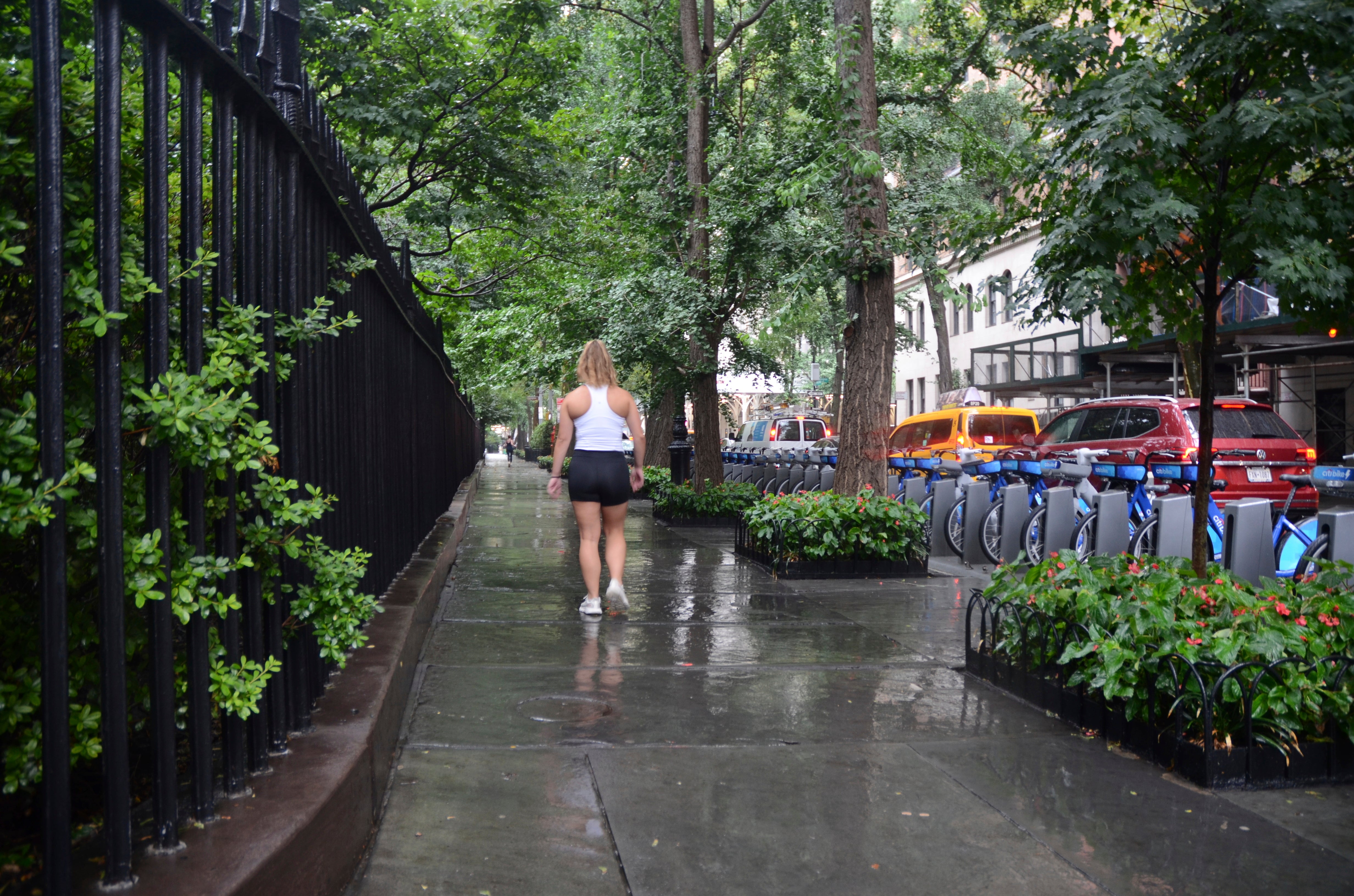 New York Extreme Weather