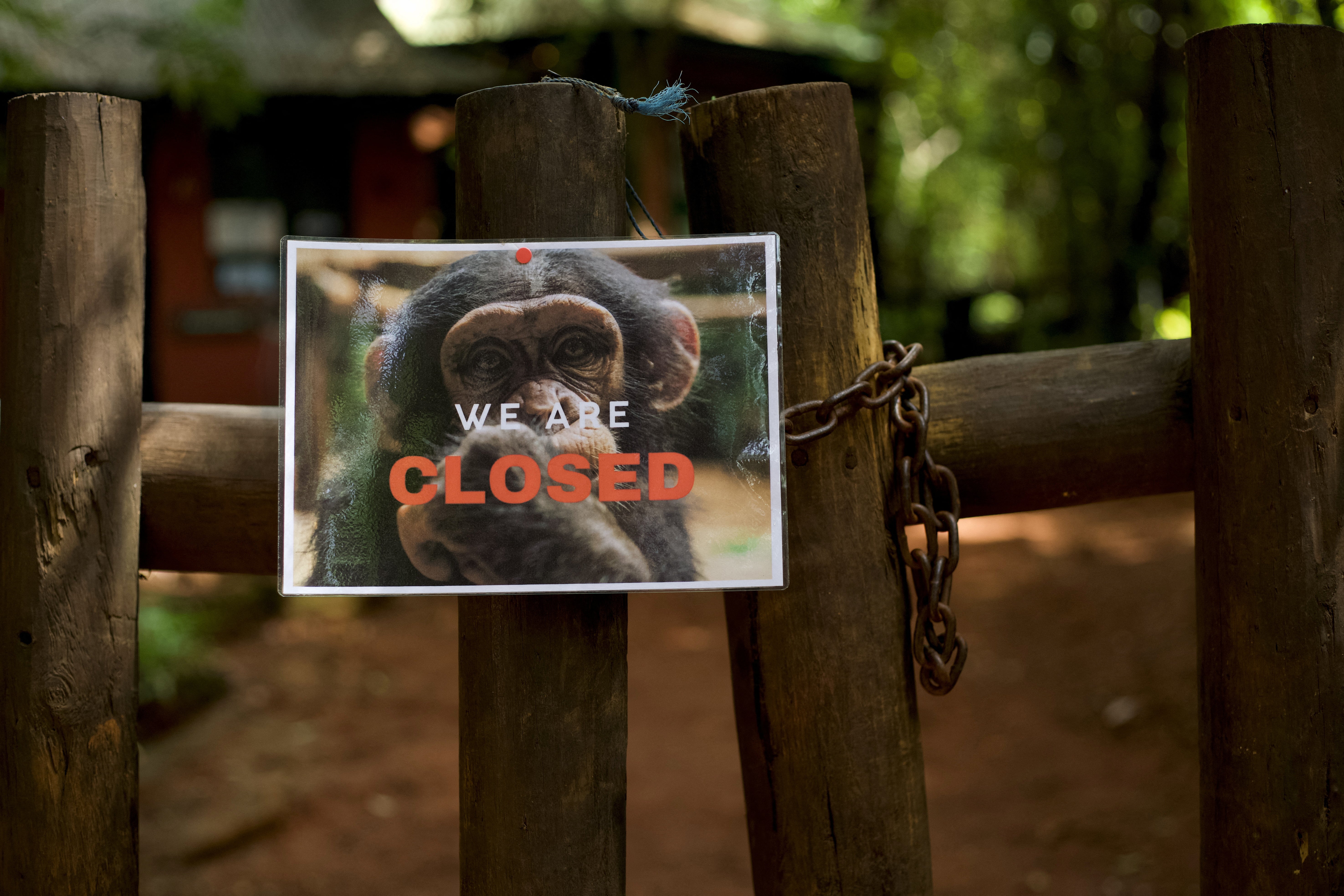 The entrance to Tacugama Chimpanzee Sanctuary, closed to the public, is pictured in Freetown, Sierra Leone June 21, 2025