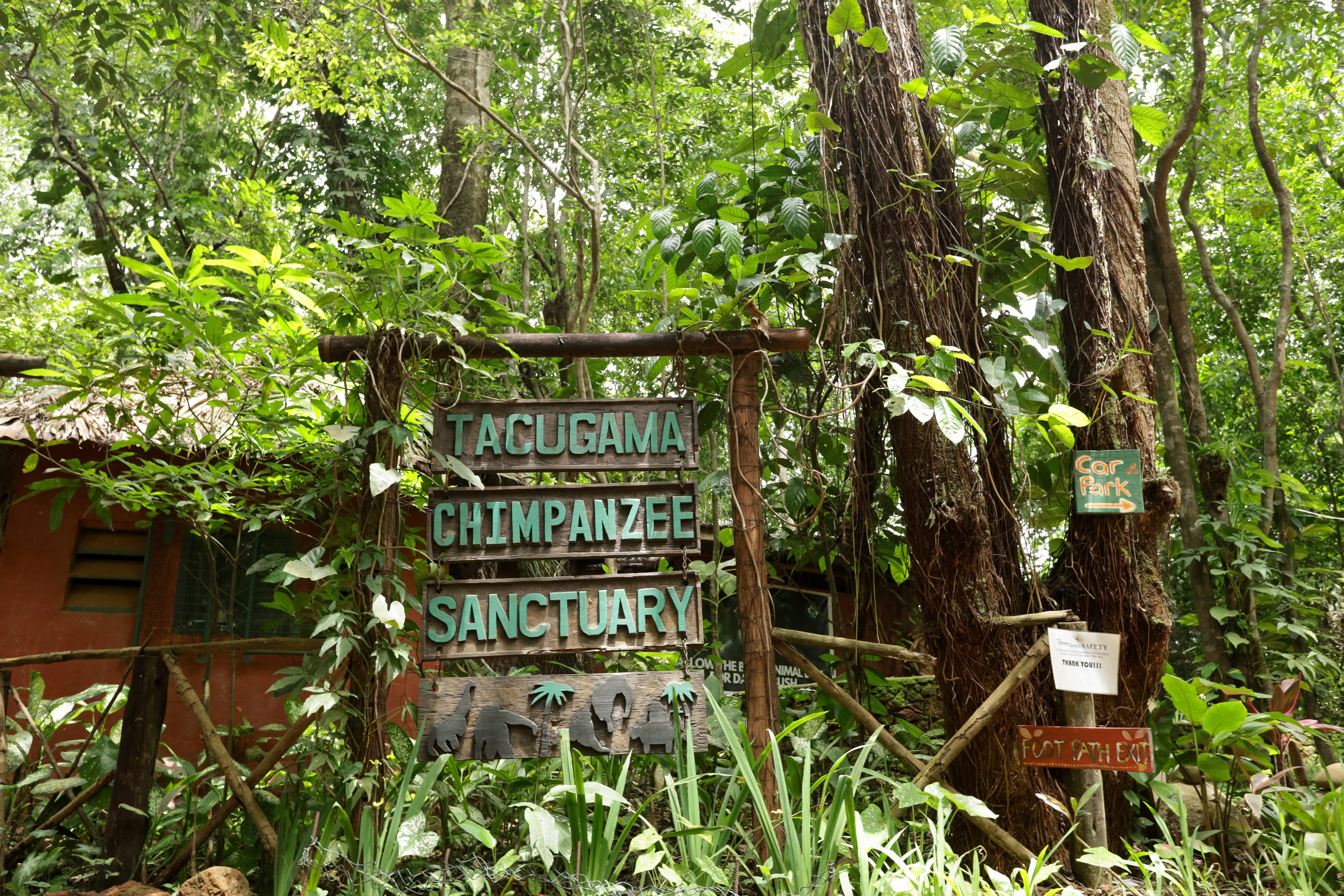 An exterior view of Tacugama Chimpanzee Sanctuary, closed to the public, in Freetown, Sierra Leone June 9, 2025