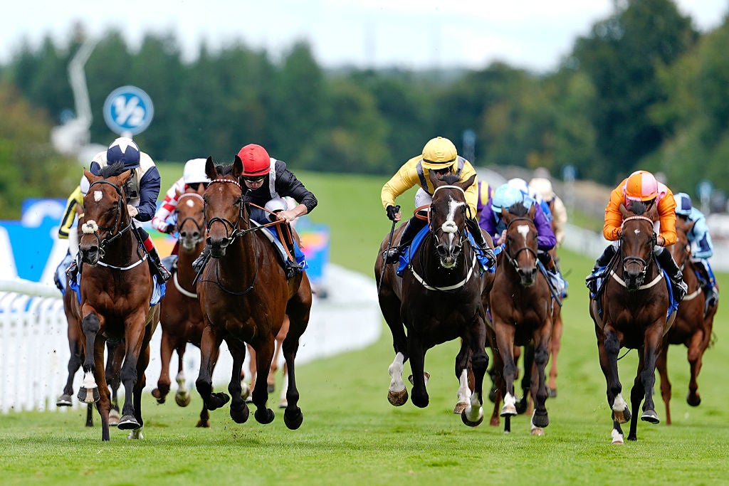 Sam Hawkens, ridden by Tom Marquand (red cap), won the Coral Summer Handicap