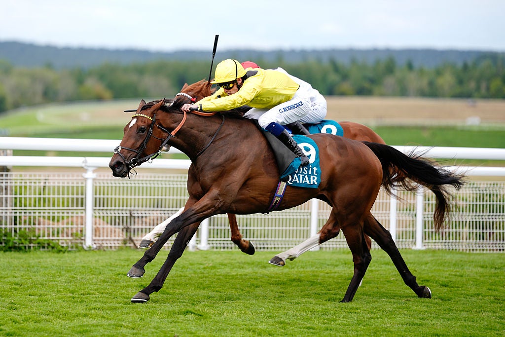 Callum Rodriguez riding Waardah to victory