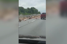 Watch: Hot dogs spill on highway causes commuters’ wurst nightmare: ‘They’re everywhere!’