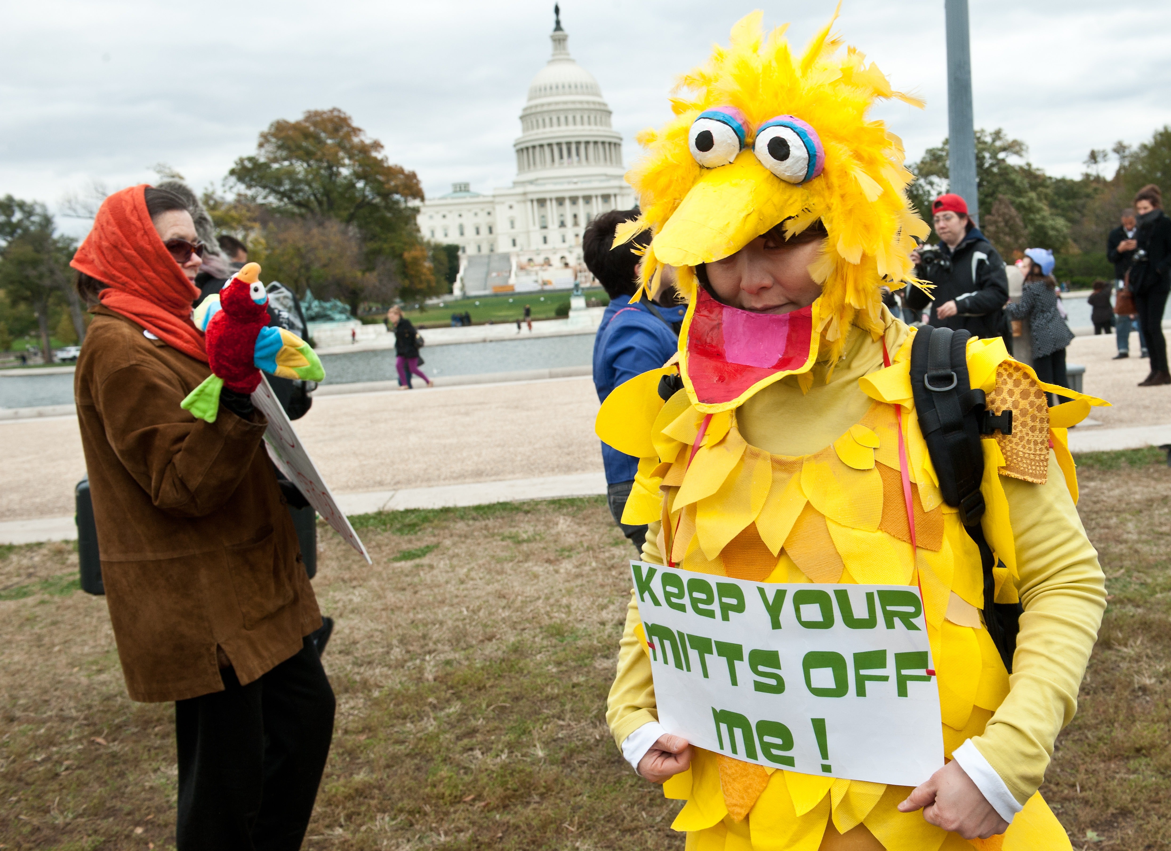 A woman wears a costume of Sesame Street character Big Bird holding a sign in support of public broadcasting