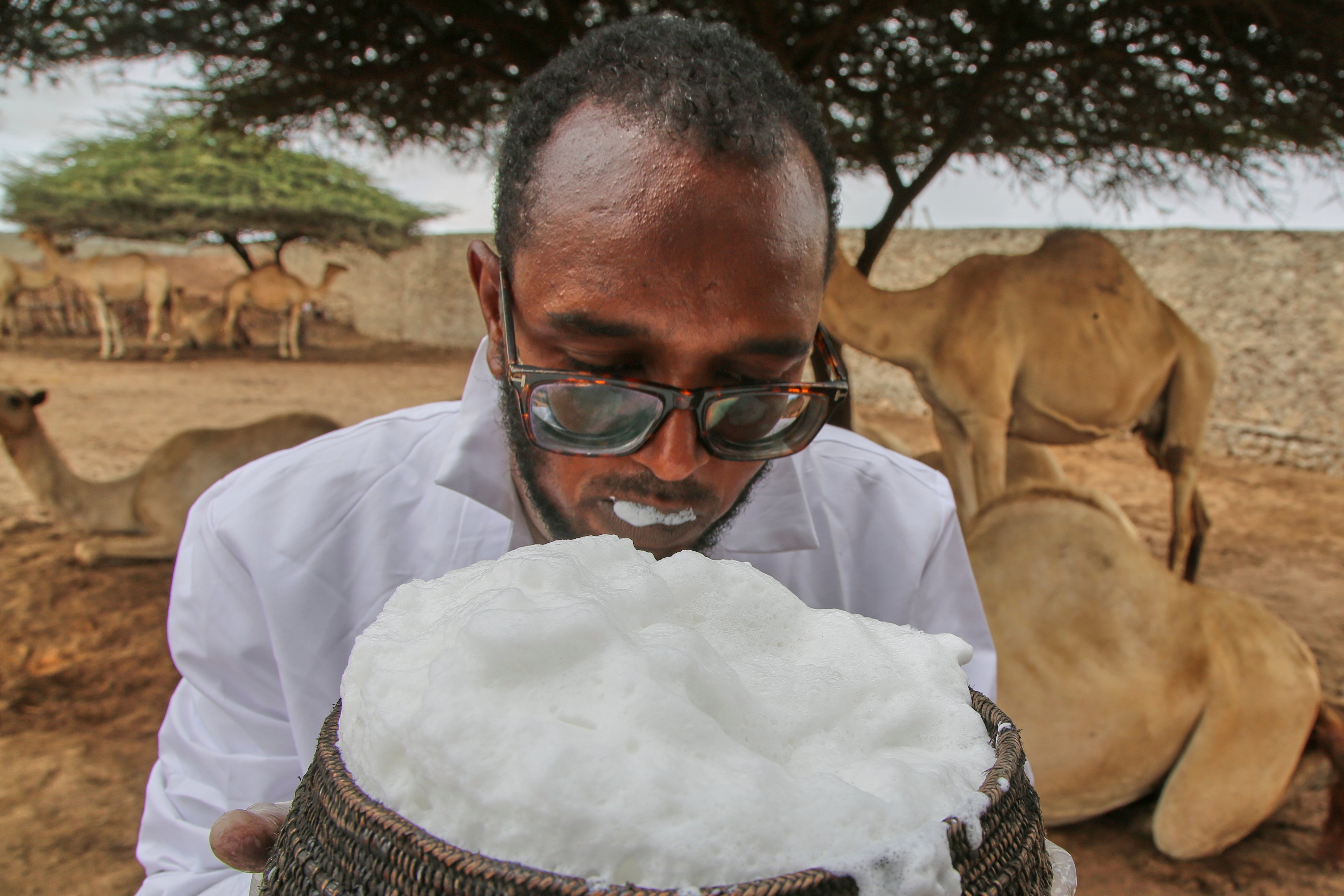 Abdirisak Mire Hashi, a veterinarian and the farm's manager, drinks from a cup filled with camel milk in Beder Camel Farm on the outskirts of the capital Mogadishu, Somalia, Wednesday, June 18, 2025. (AP Photo/Farah Abdi Warsameh)