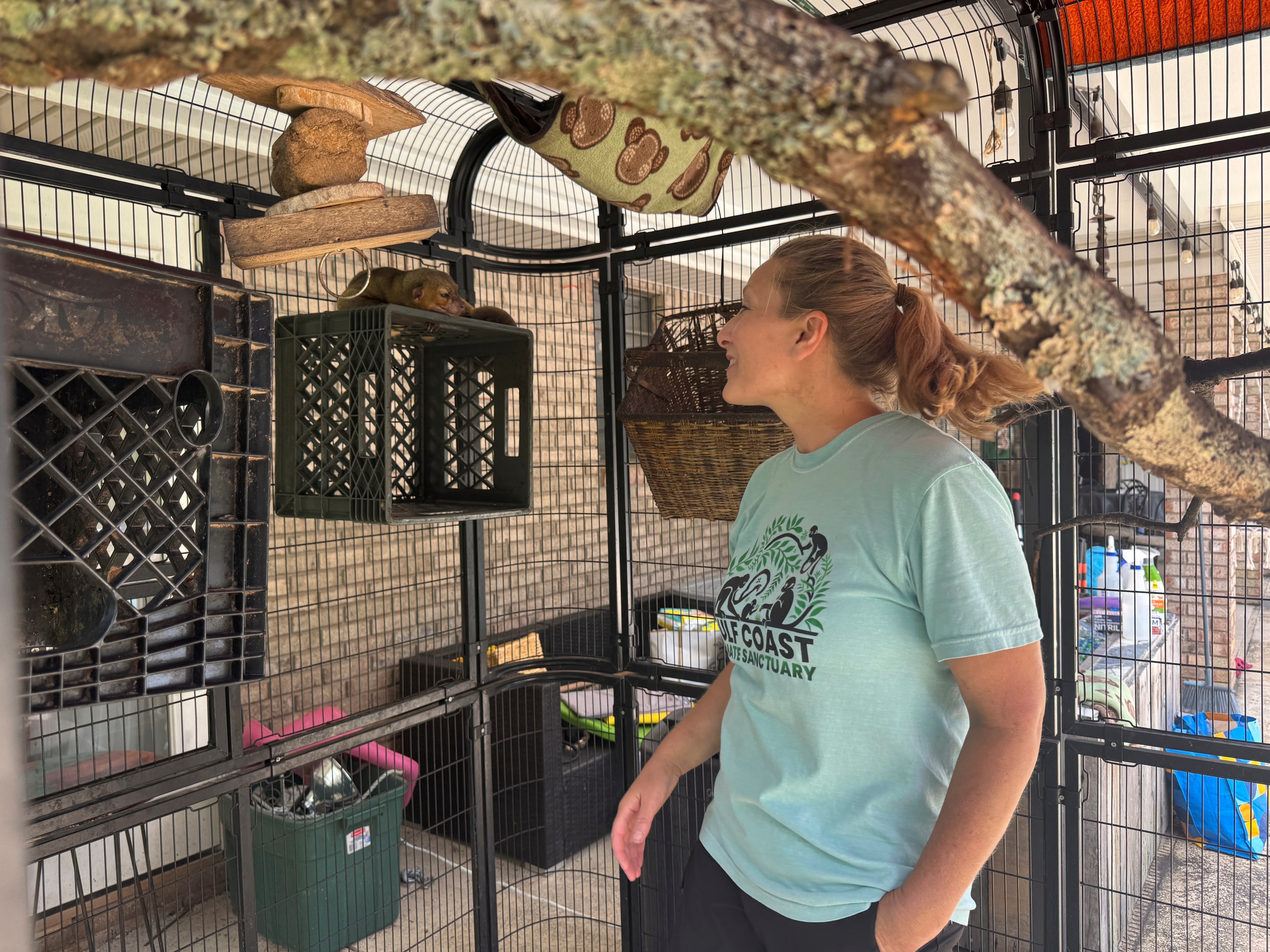 April Stewart, the founder of the Gulf Coast Primate Sanctuary, checks on a kinkajou in Perkinston, Mississippi