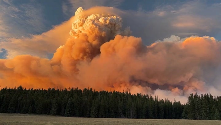 Grand Canyon ‘megafire’ timelapse shows rare fire cloud forming