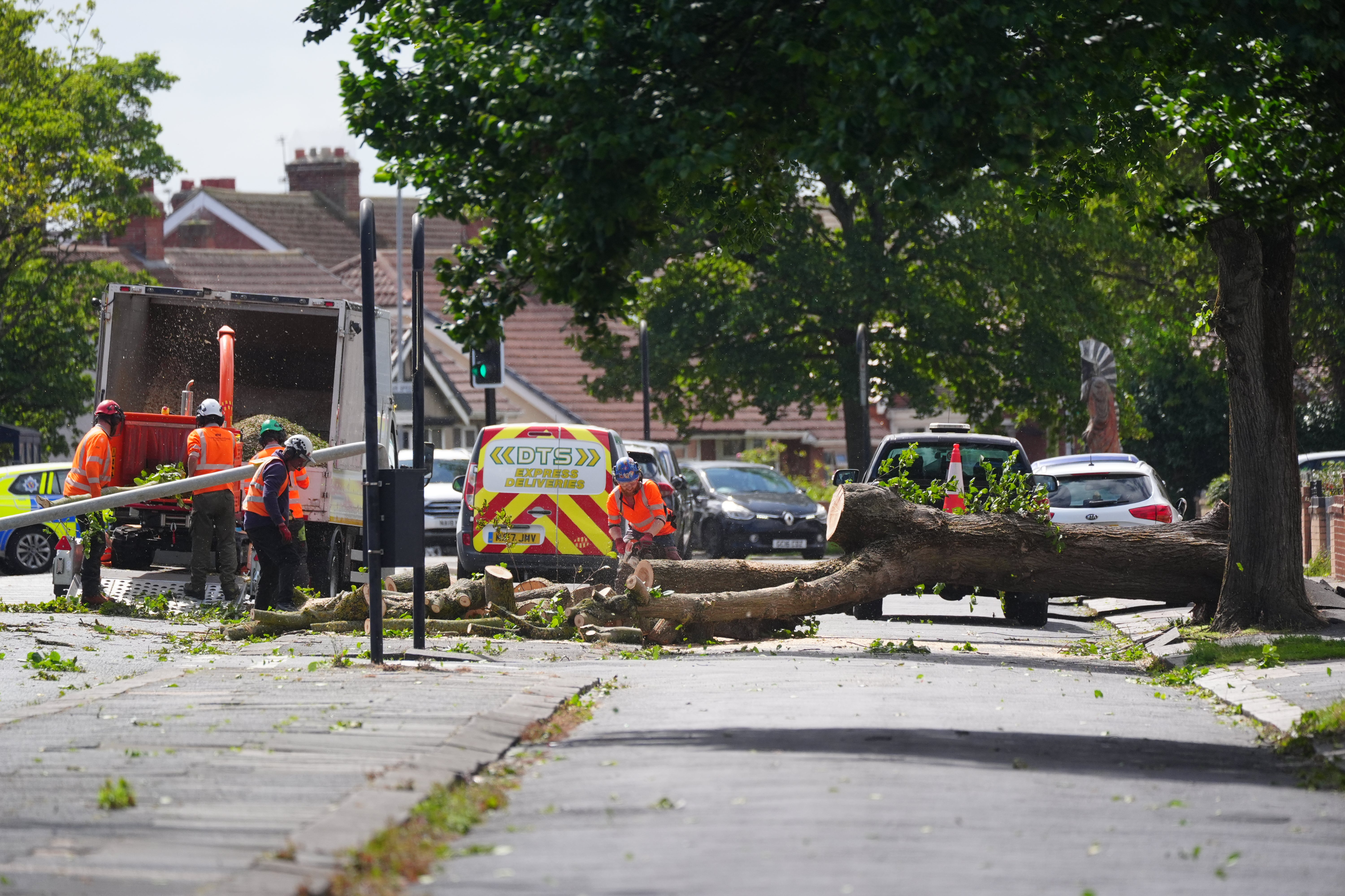 Workers cut up a tree which was felled by the wind on Plessey Road in Blyth, Northumberland