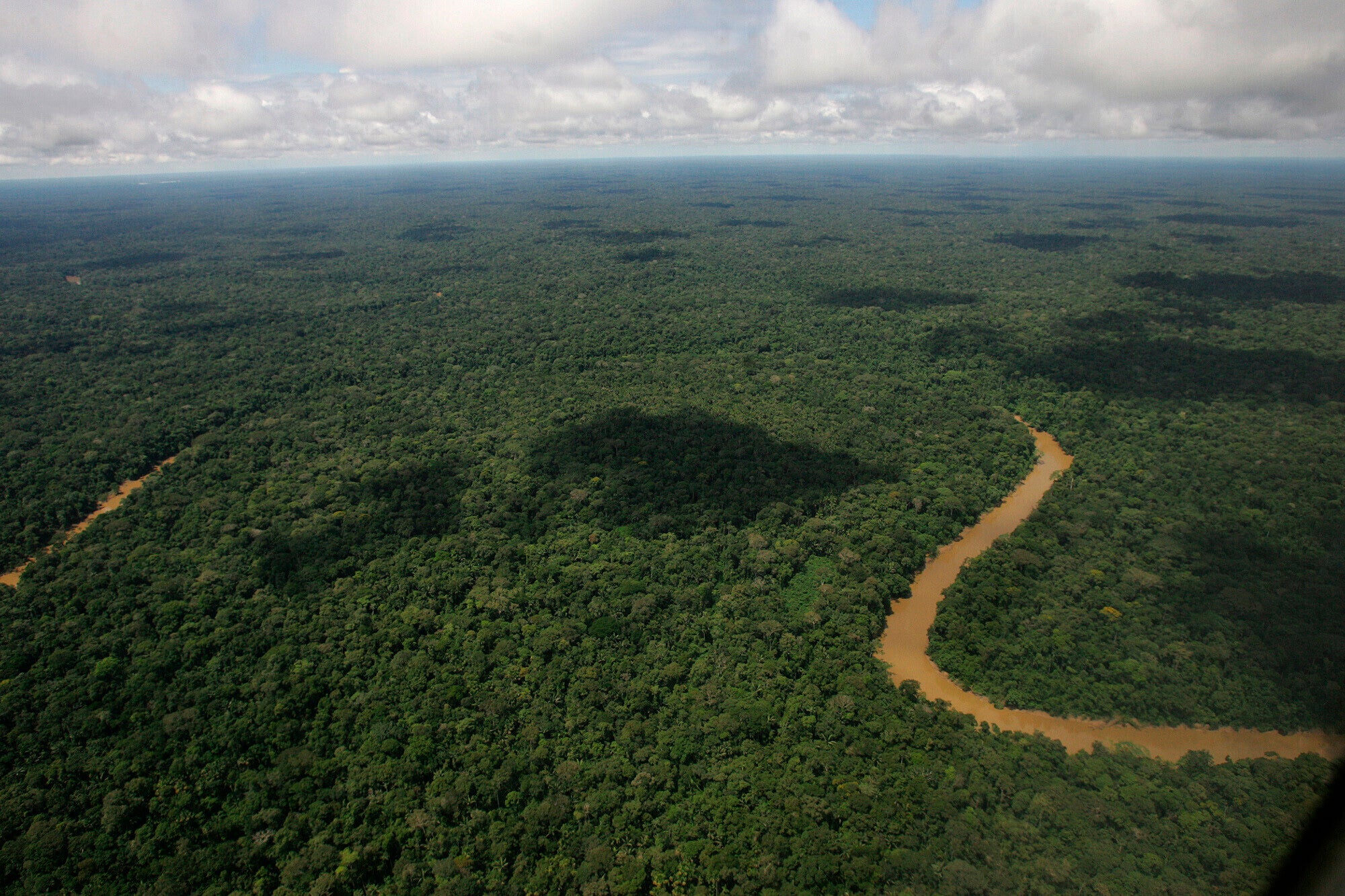 <p>Despite more awareness than ever, the climate crisis is worsening and it's never felt more urgent to react to protect areas like the Ecuadorian Amazon Environment</p>