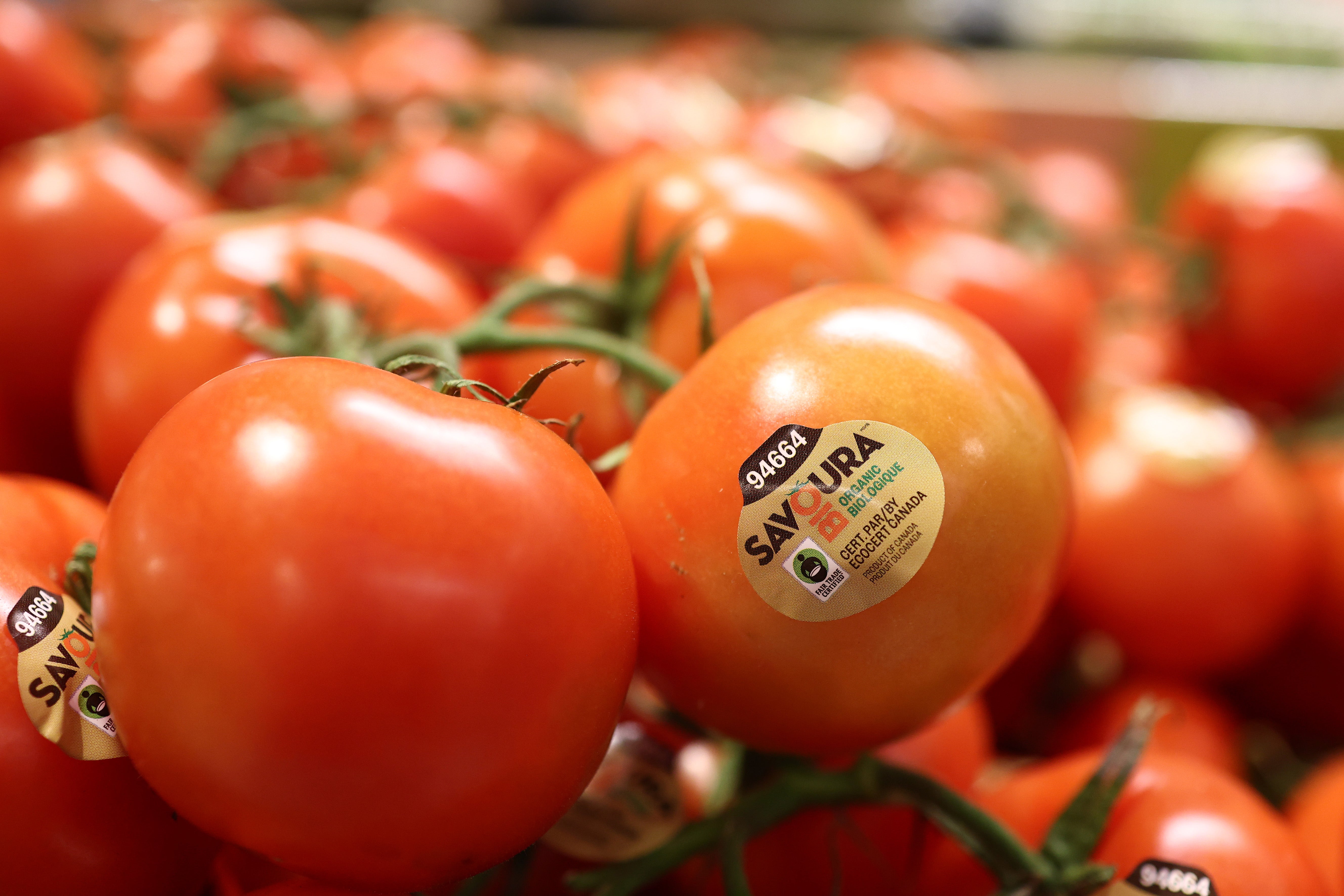 Eating tomatoes, berries, cherries and other fruits is recommended on the Mediterranean diet. They are rich in vitamin C and antioxidants