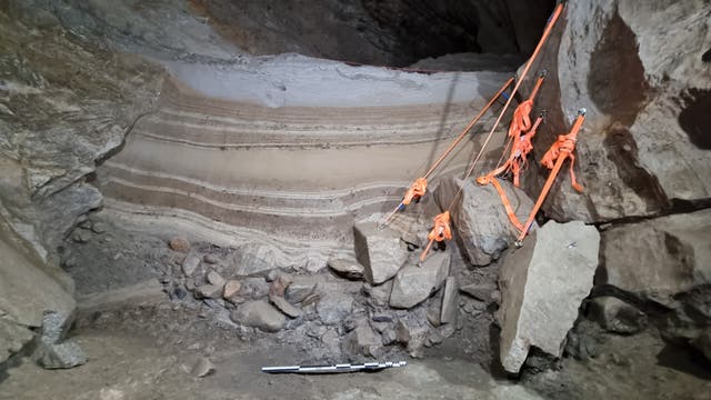 <p>The sediment profile in the Arne Qvamgrotta cave in Norway</p>