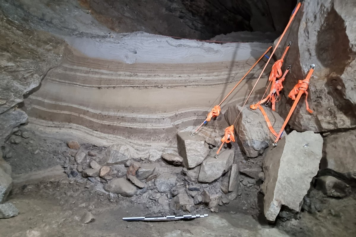 Arctic cave discovery provides a ‘rare snapshot of a vanished world’