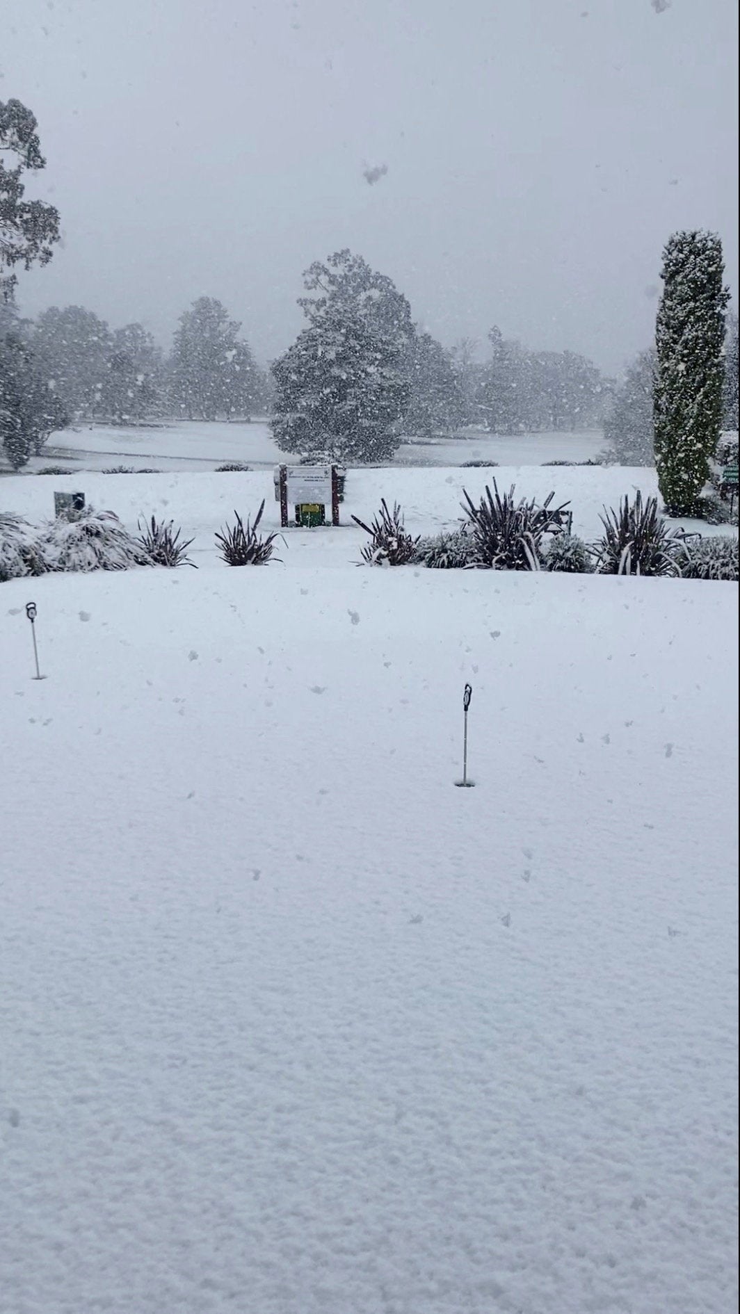 Snow blankets the grass at a golf club in Armidale
