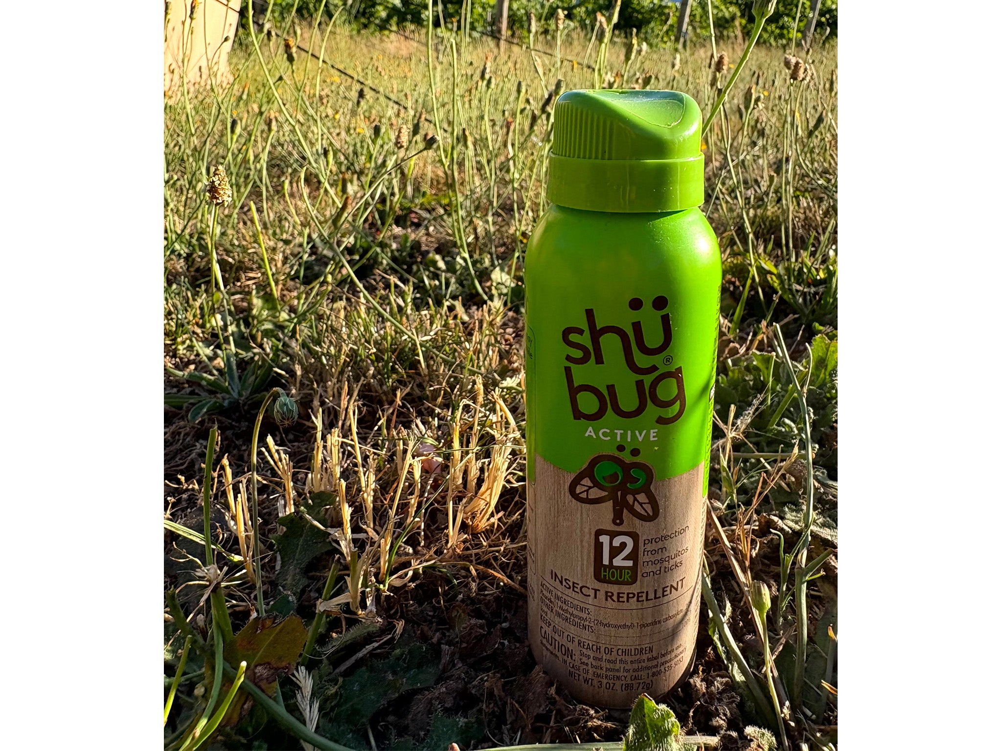 The Best Bug Sprays of 2026, Tested and Reviewed While Camping | The ...