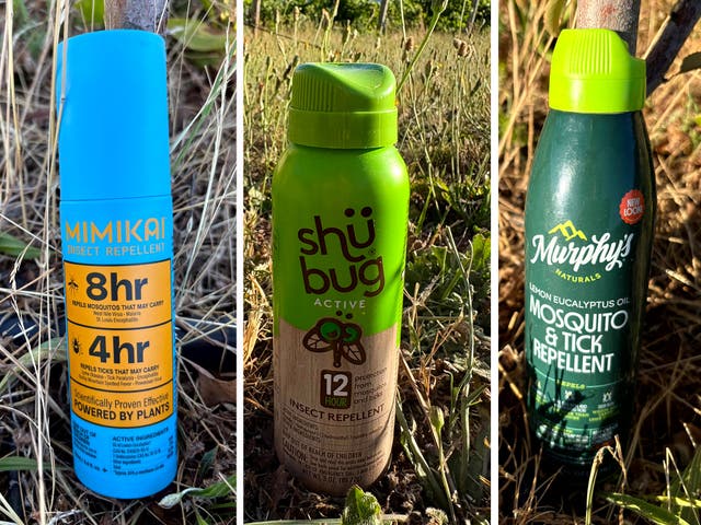 The 6 Best Bug Sprays for 2026, Tested and Reviewed on Camping Trips ...