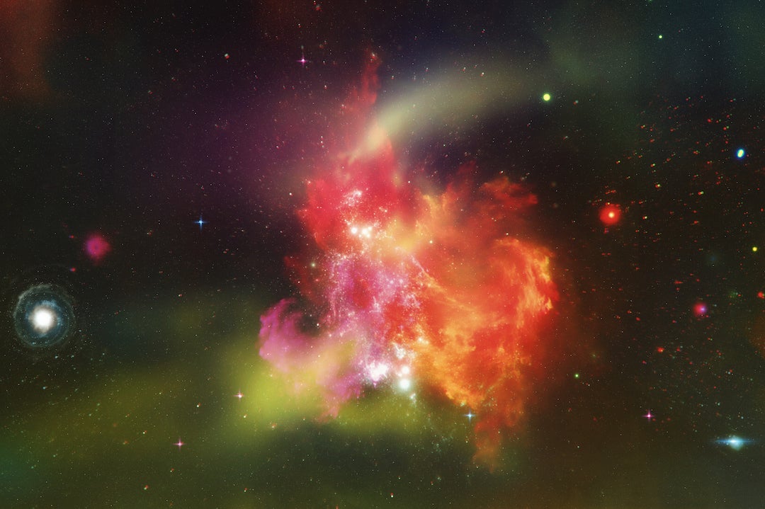 An astrologer shares August horoscope and how to make the most of the Lion’s Gate