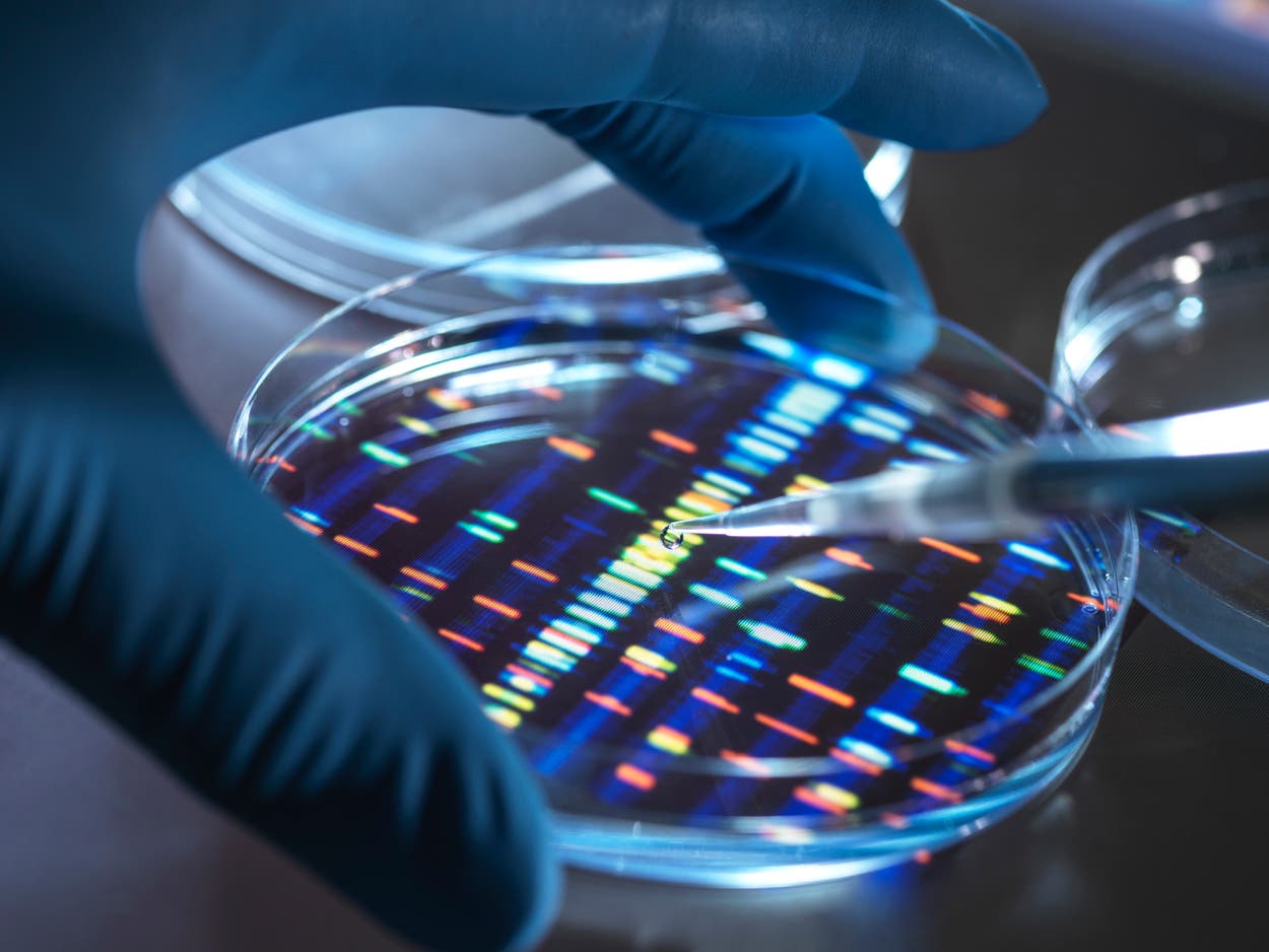 Advances in genetics and CRISPR tools hint at a future where DNA and RNA can be programmed like software (Getty Images)