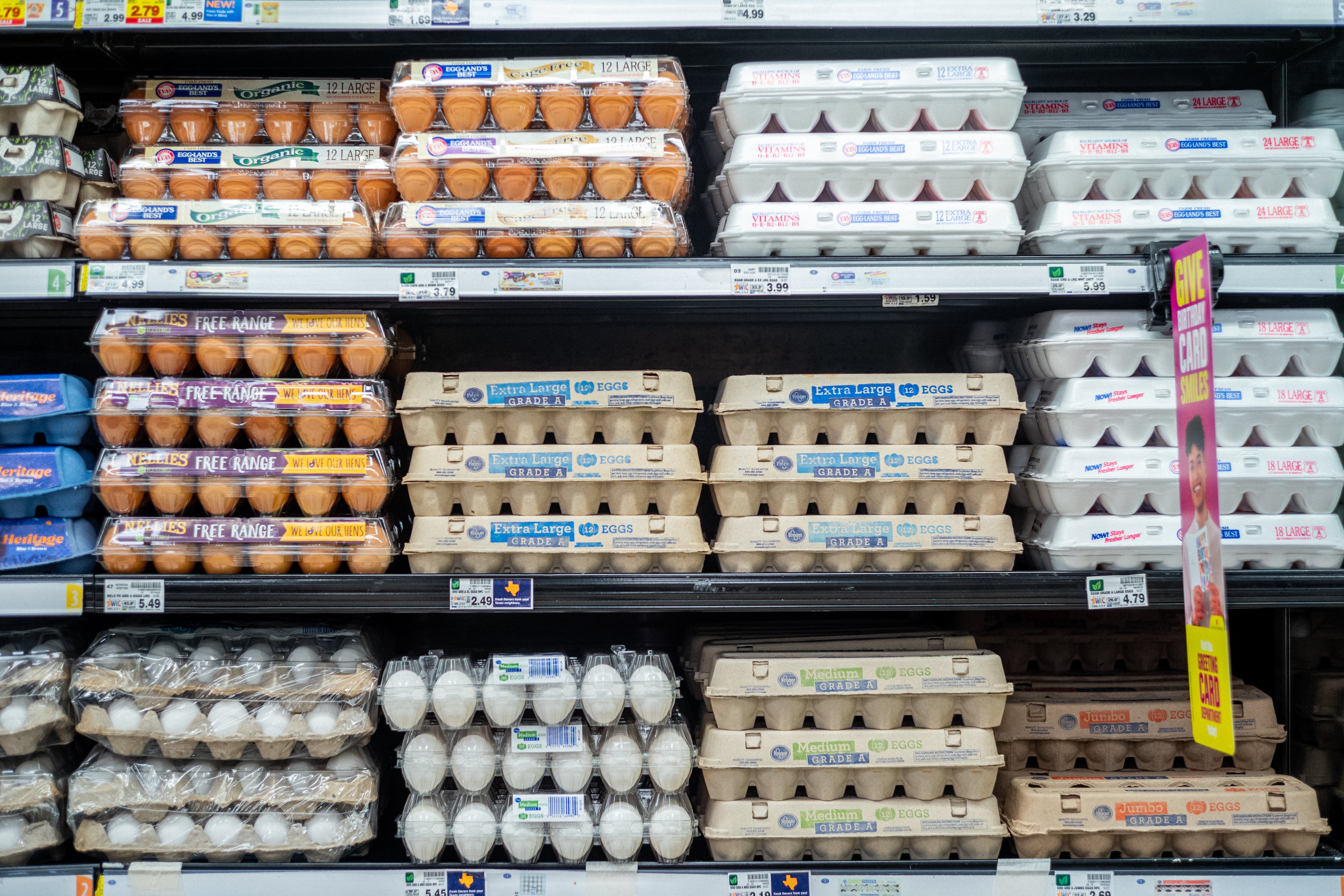 Egg prices are predicted to increase 24.6 percent in 2025, according to federal data.