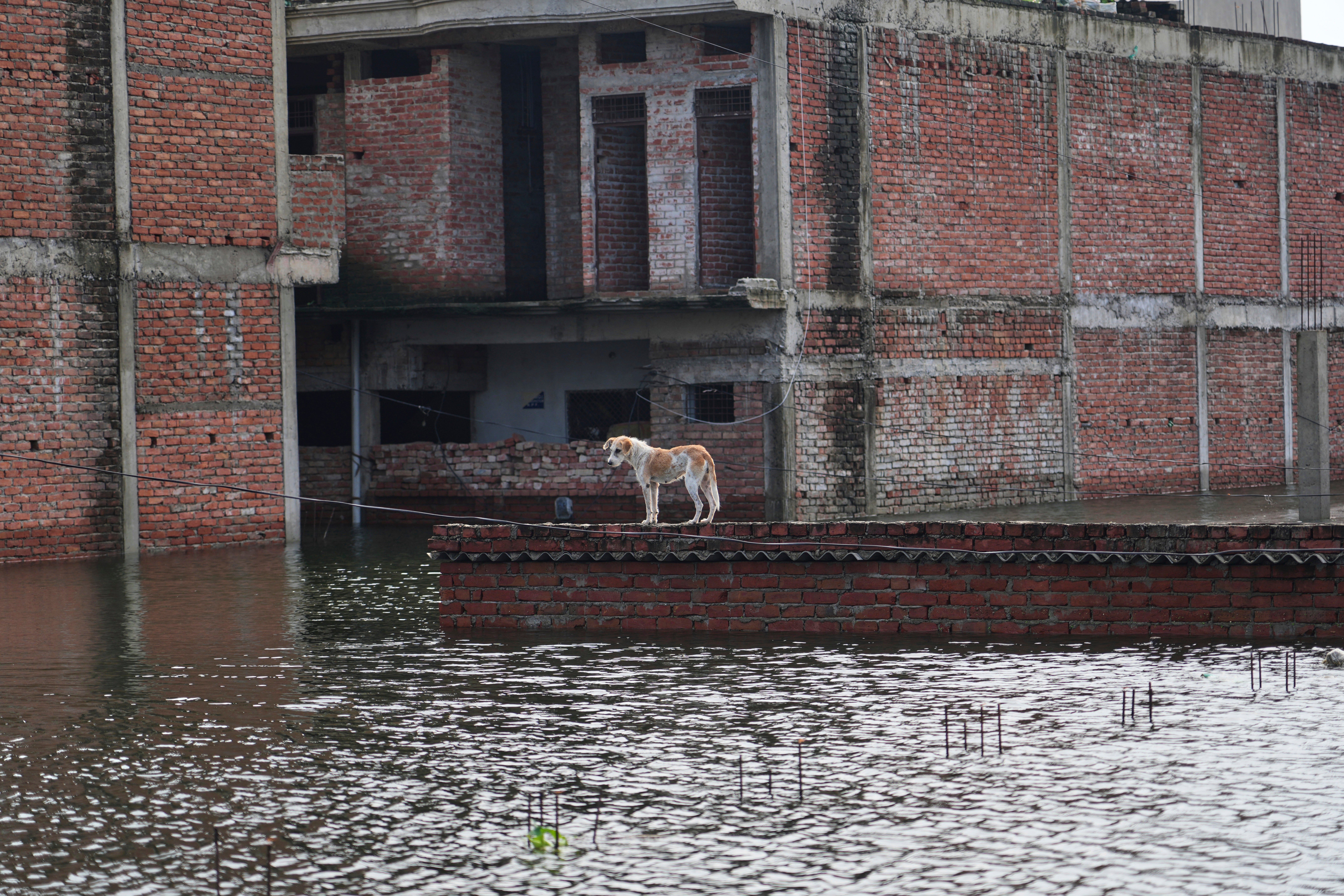 India Monsoon Flooding