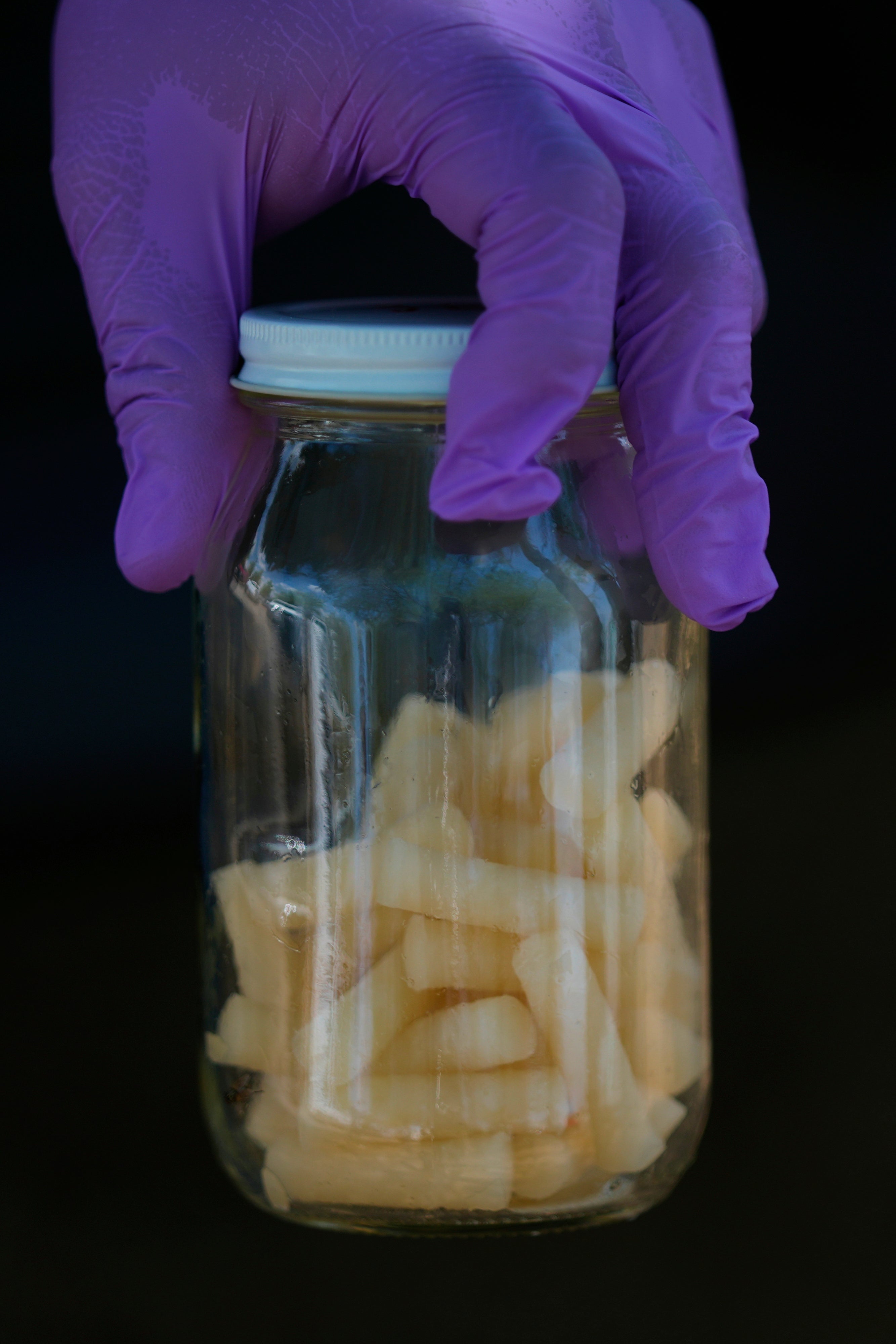 Mexico US Screwworm Ranchers