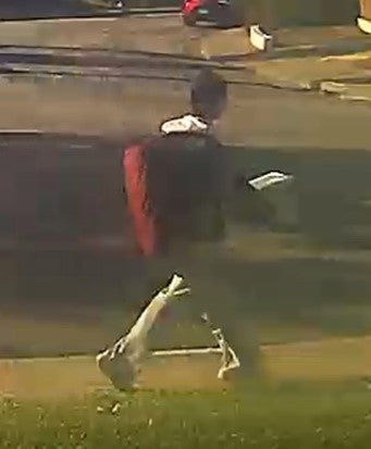 Surveillance footage shows Katie Hong walking from her family's house to Irvington Community Park