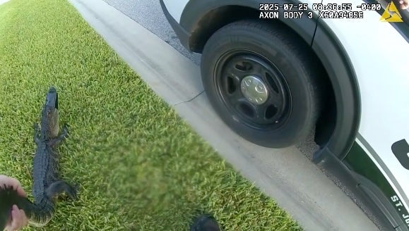 Richardson is later filmed holding the gator by its tail while opening his patrol car to load it into the back seat