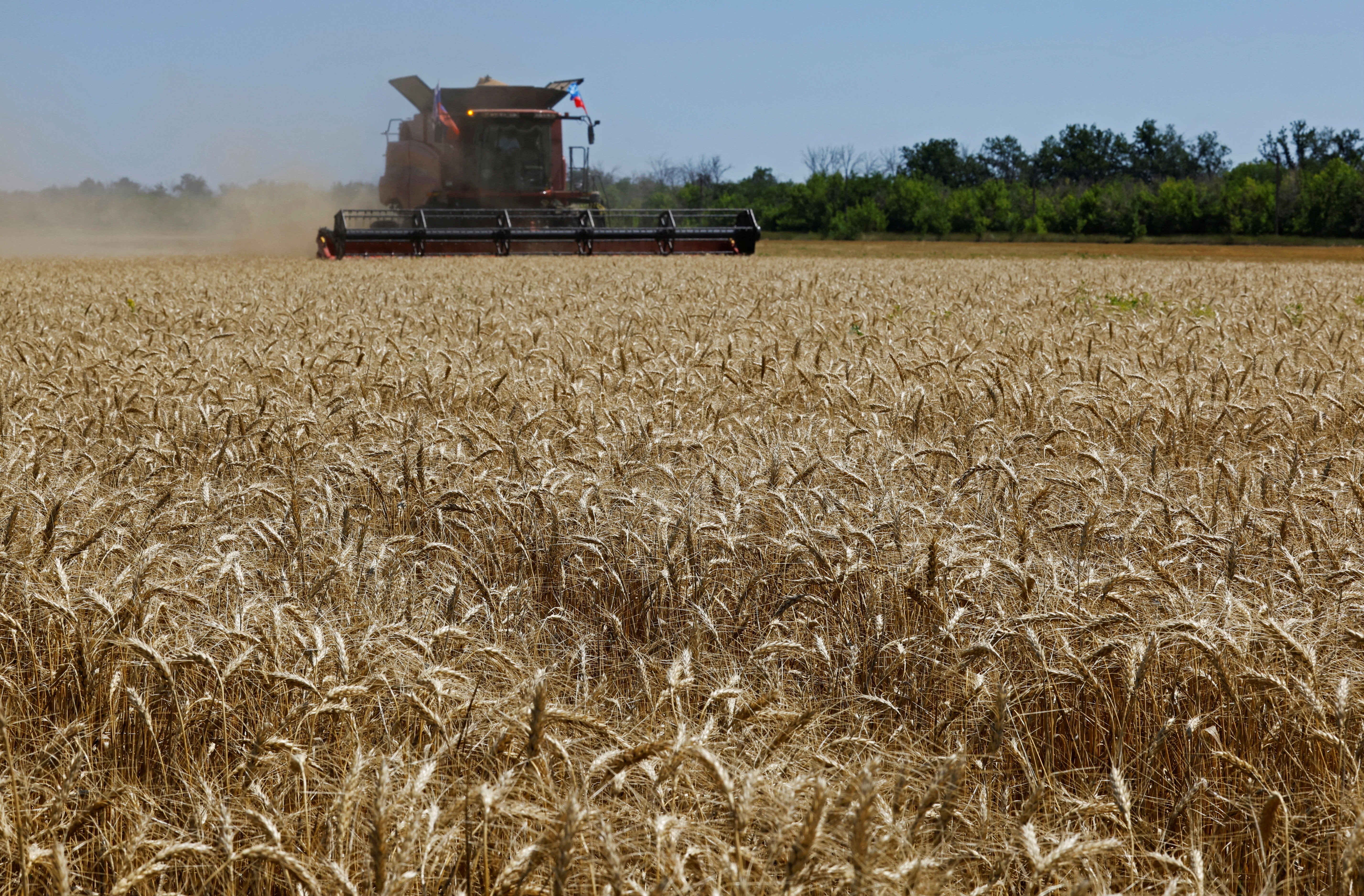 Last year Luhansk, Donetsk, Kherson and Zaporizhzhia regions - referred to by Russia as its "new territories" but still internationally recognised as Ukrainian - supplied about 3 per cent of Russia's grain crop, the Agriculture Ministry said.