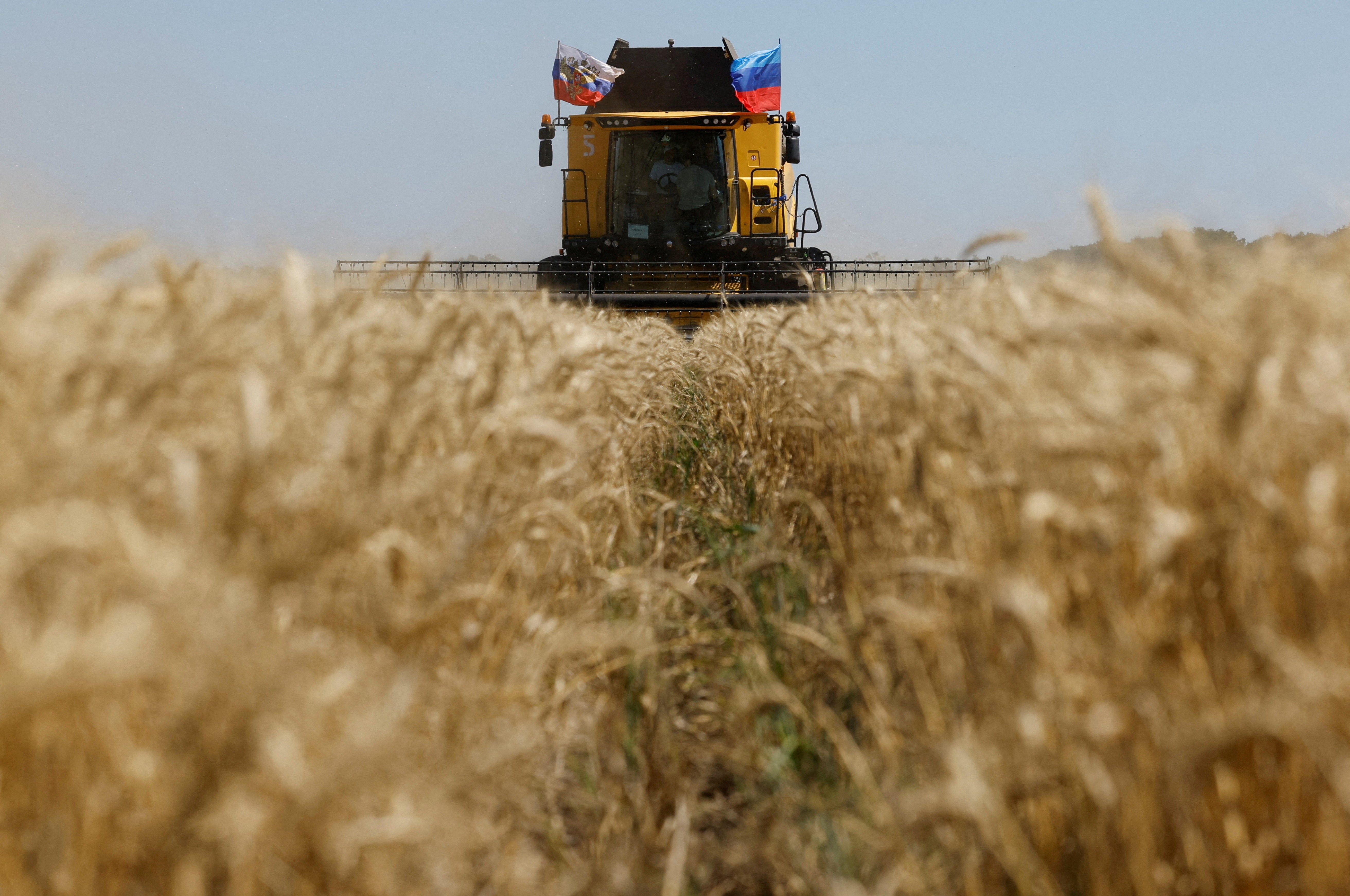 A farmer operates a combine during the start of the wheat harvesting campaign in a field near the town of Starobilsk (Starobelsk) in the Luhansk Region, a Russian-controlled area of Ukraine
