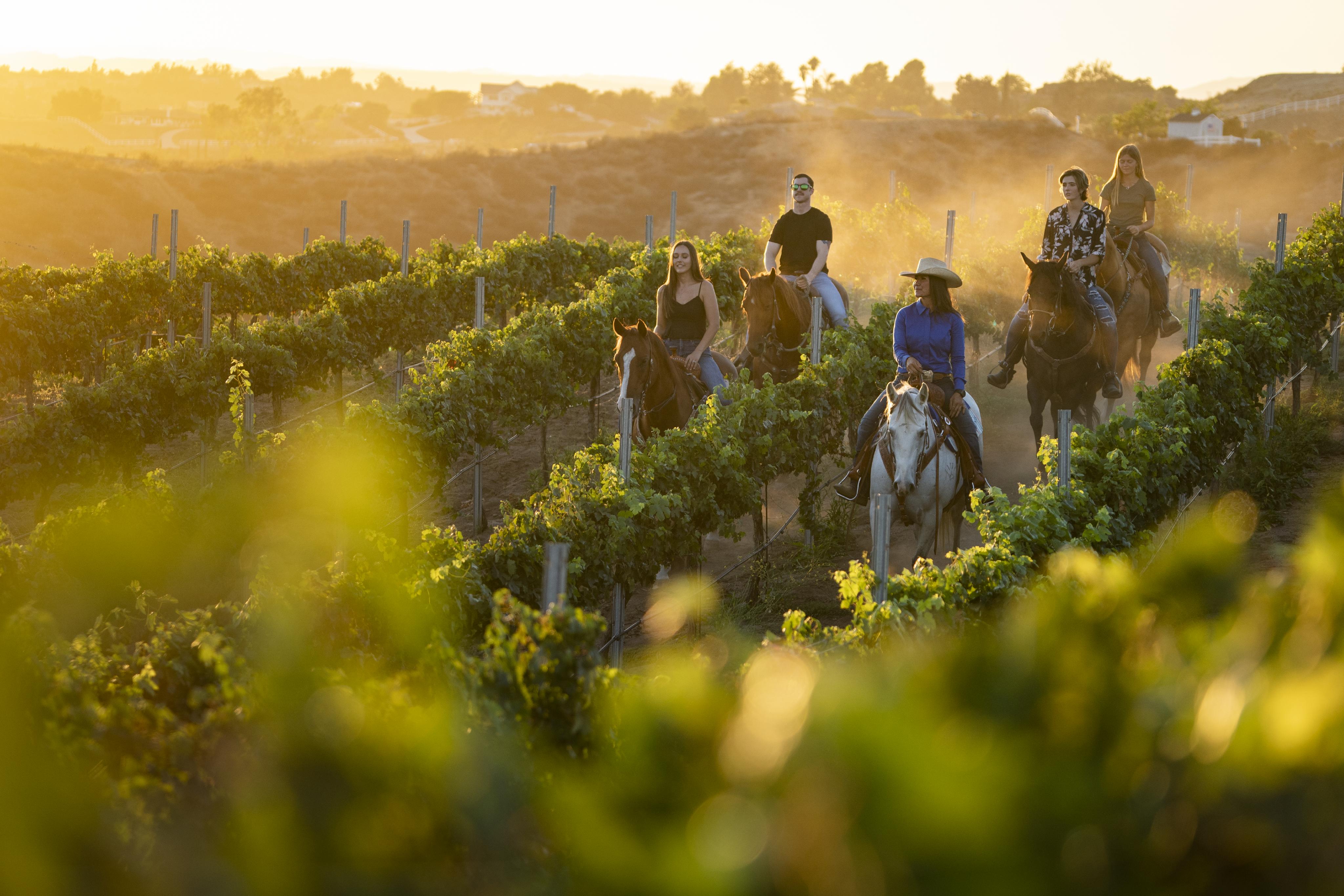 Tuscan dupe Temecula Valley, California, is a tank of gas away for people living in Los Angeles and San Diego
