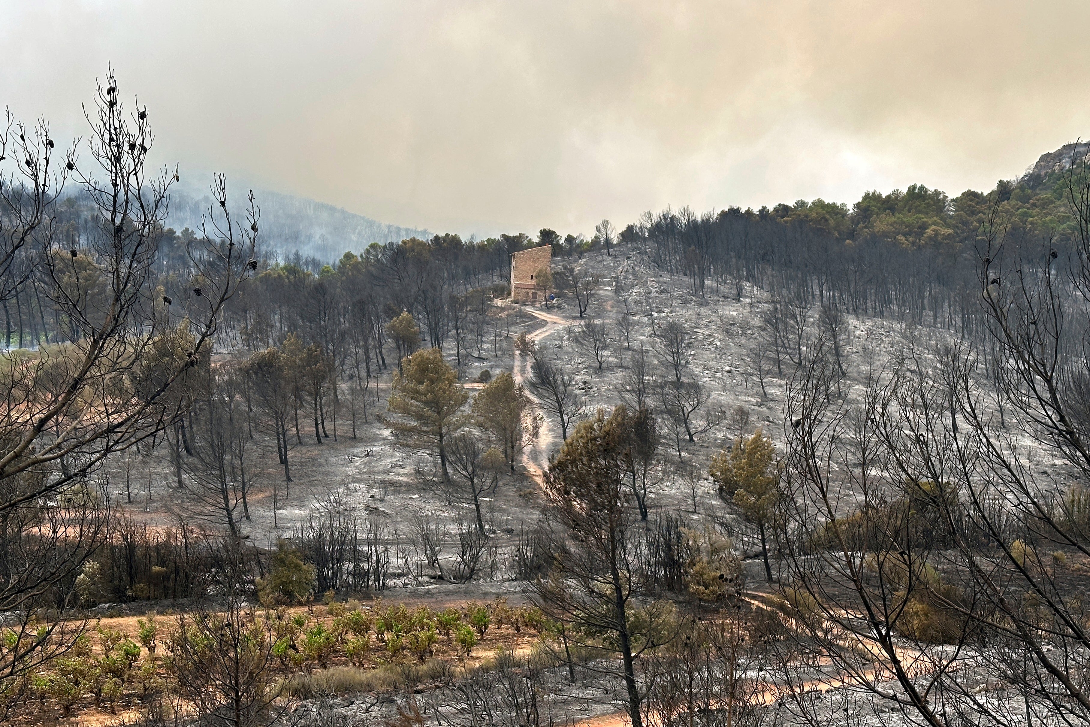 A house stands among burnt trees during France’s biggest wildfire since 1949, near Durban-Corbieres, southern France