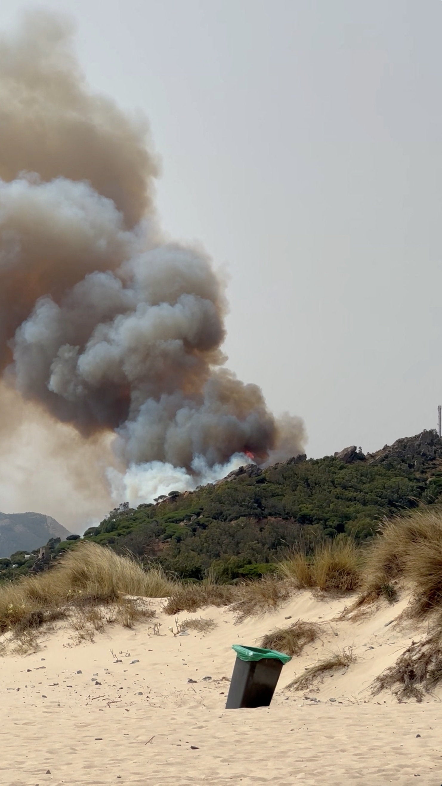 The blaze started on Tuesday afternoon in the Tarifa municipality