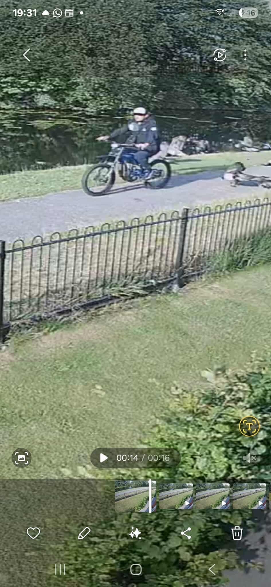 Man on e-bike kills goose after ploughing into birds in ‘horrific’ act